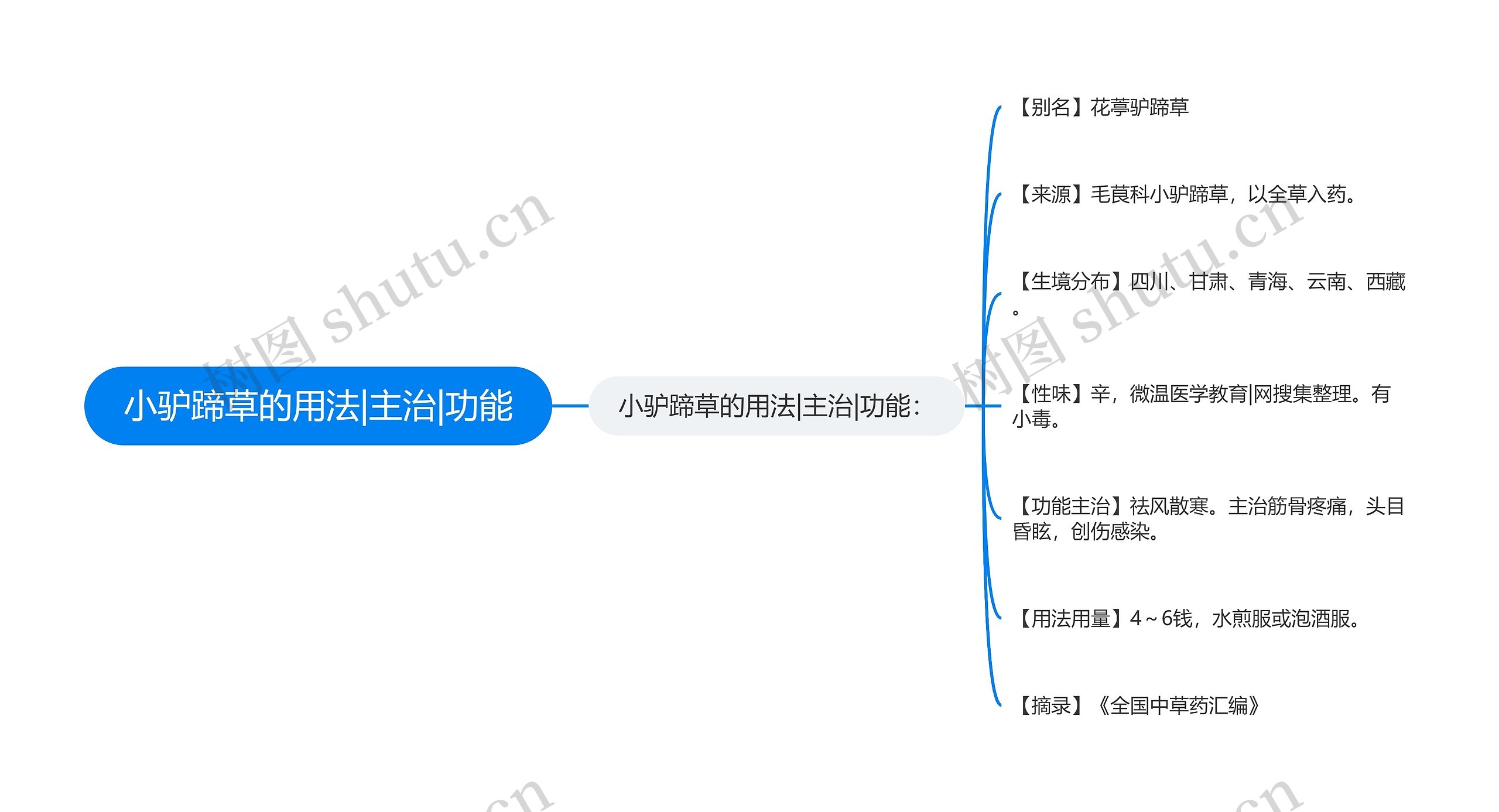 小驴蹄草的用法|主治|功能思维导图