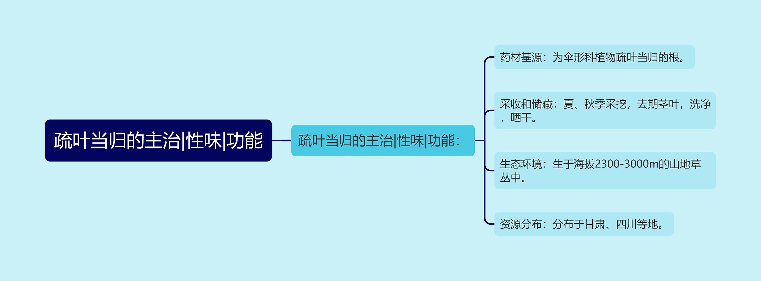 疏叶当归的主治|性味|功能思维导图