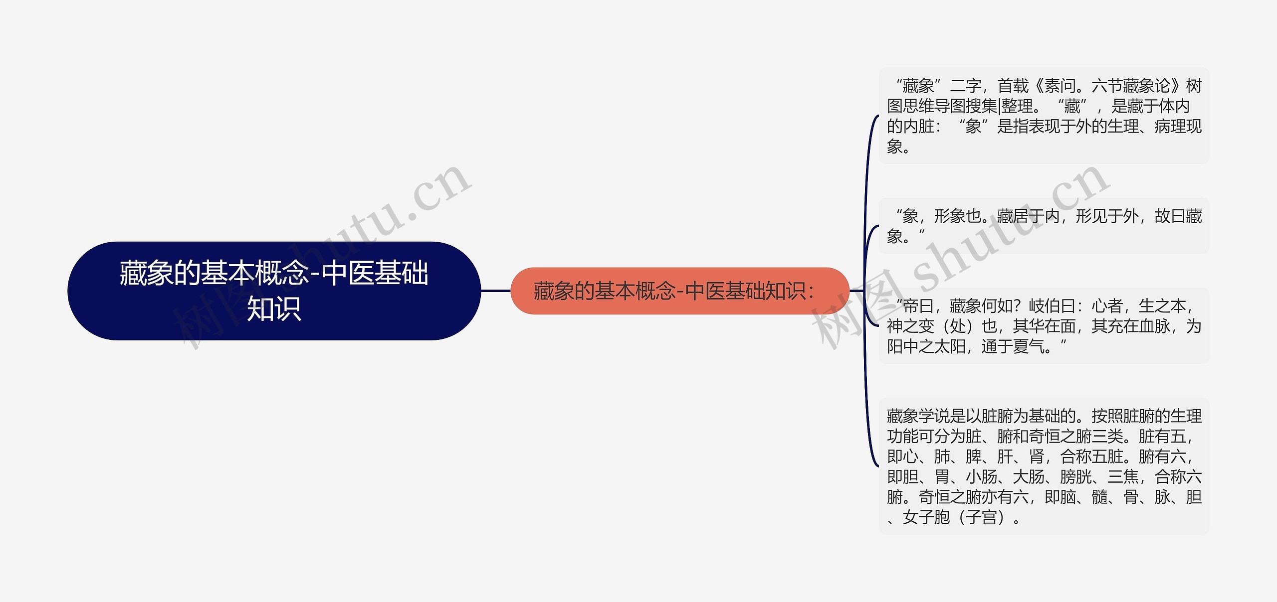 藏象的基本概念-中医基础知识思维导图