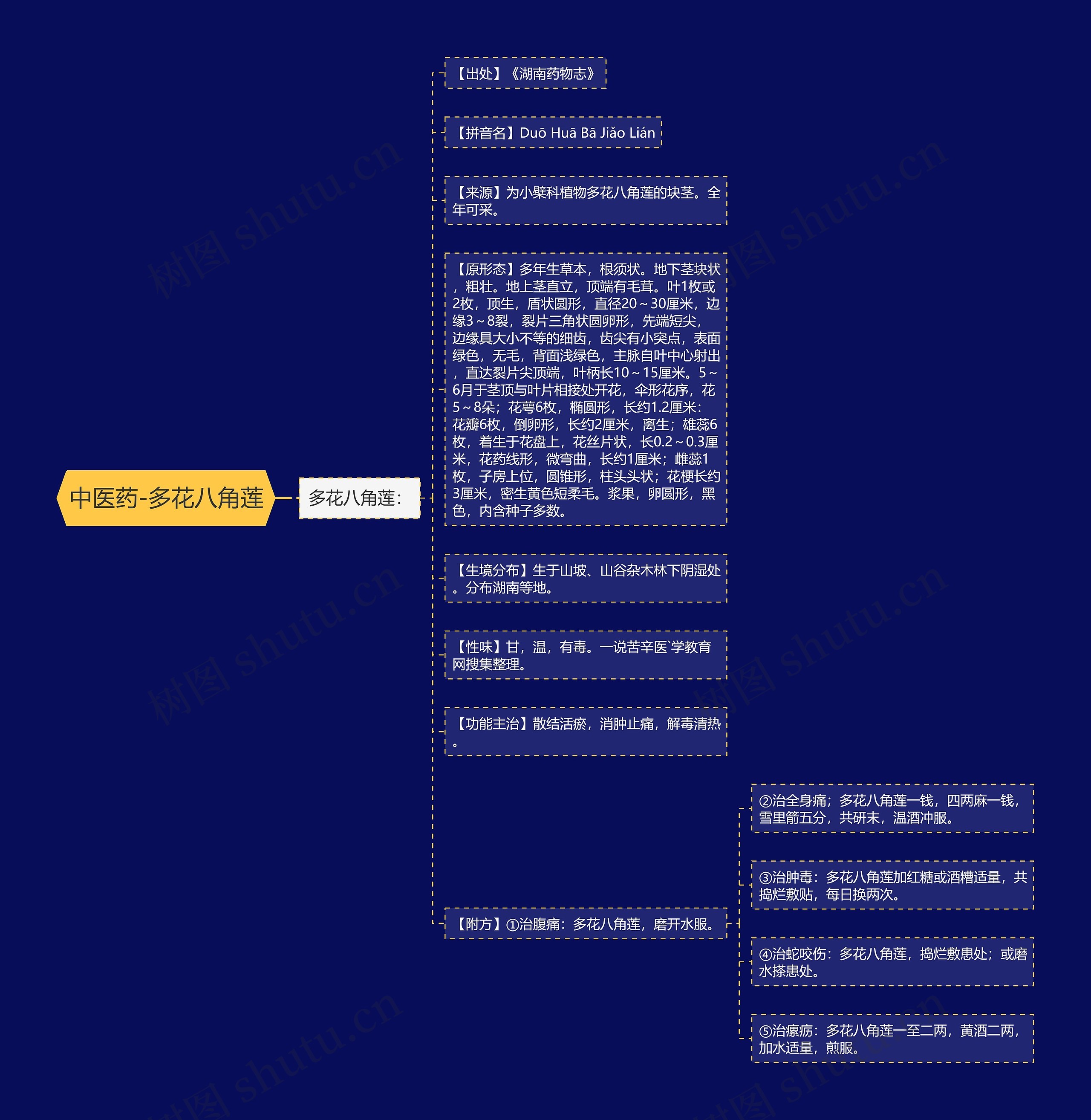 中医药-多花八角莲思维导图