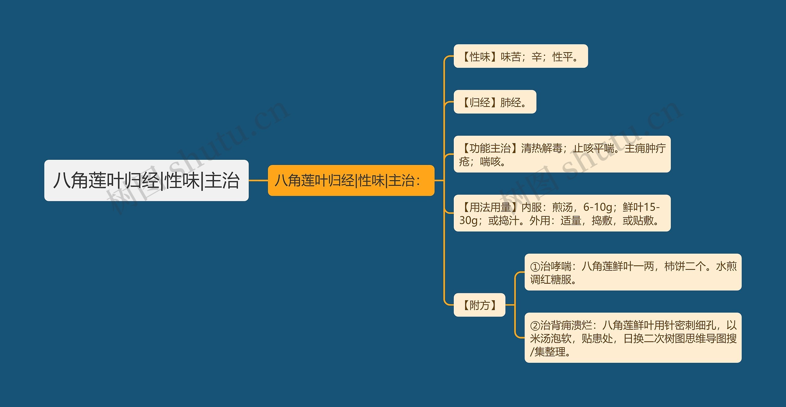 八角莲叶归经|性味|主治思维导图