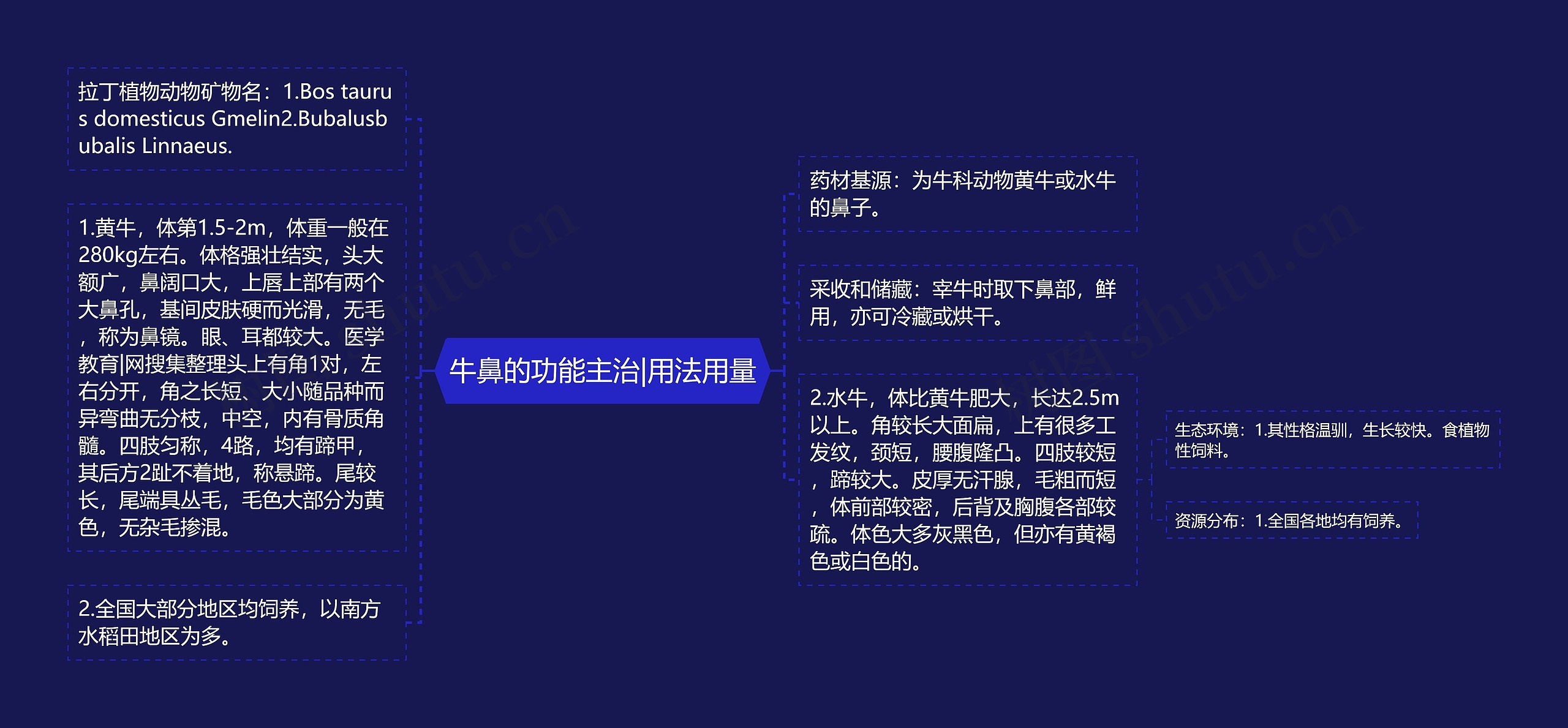 牛鼻的功能主治|用法用量 牛鼻的功能主治|用法用量