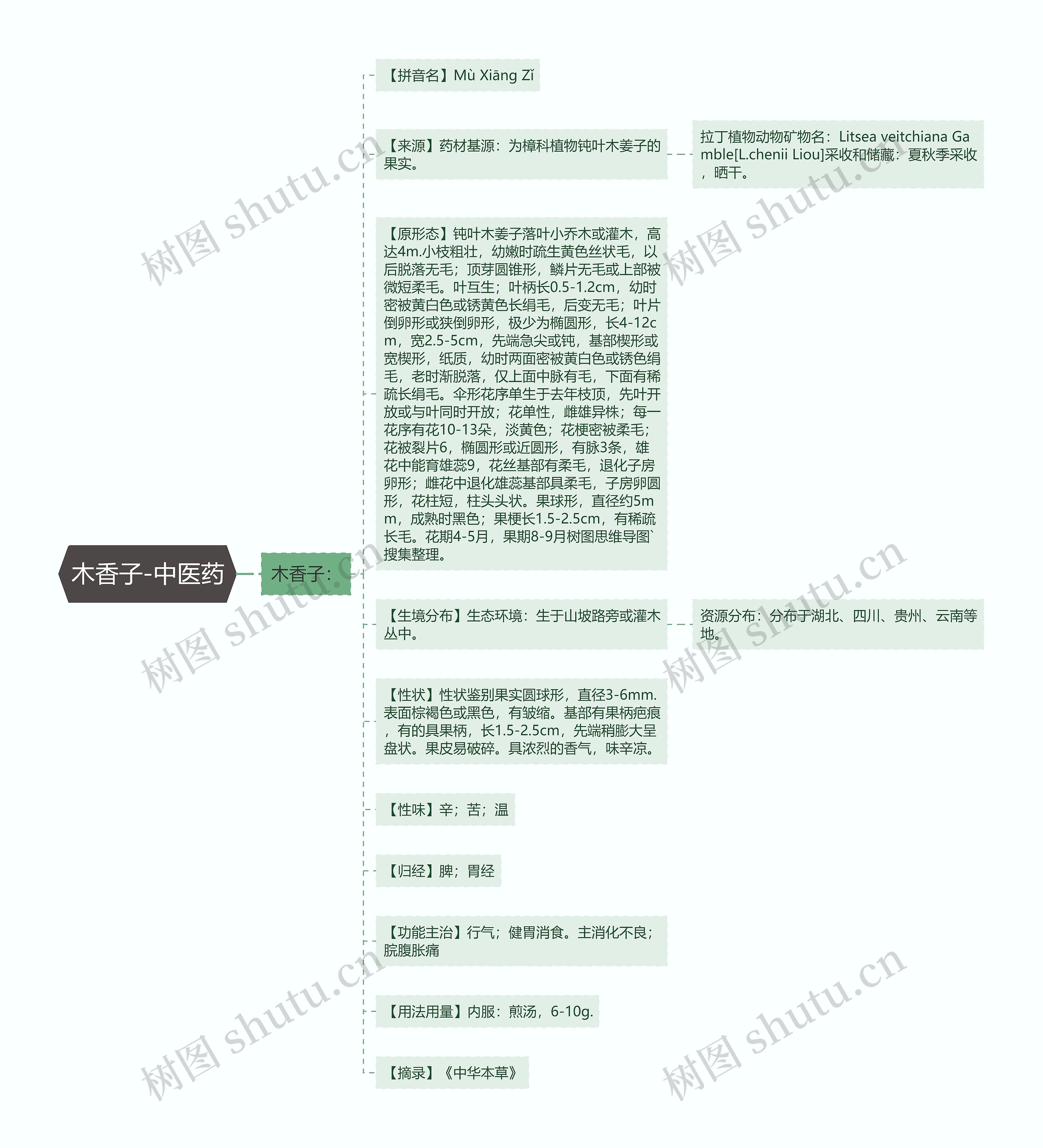 木香子-中医药 木香子-中医药