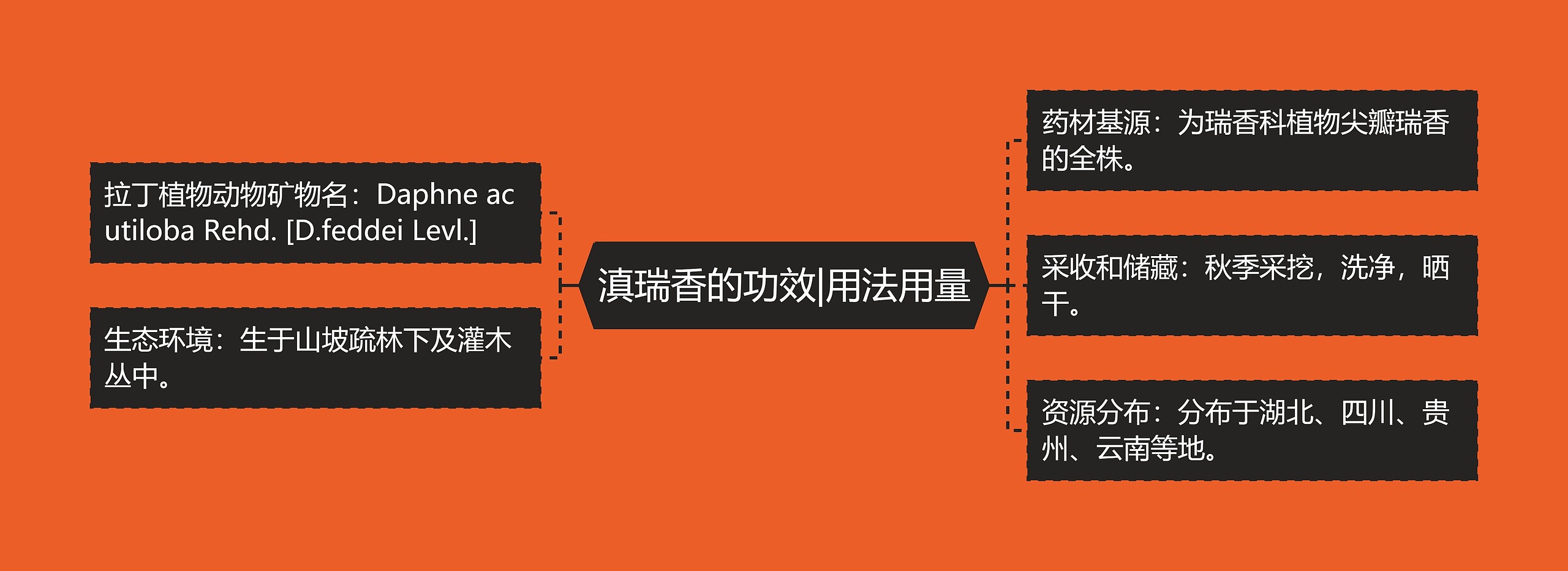 滇瑞香的功效|用法用量 滇瑞香的功效|用法用量