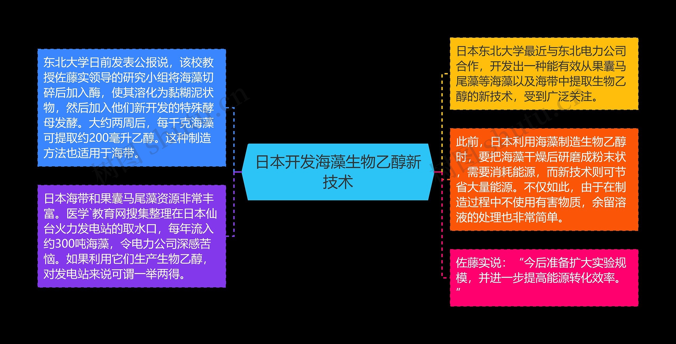 日本开发海藻生物乙醇新技术 日本开发海藻生物乙醇新技术