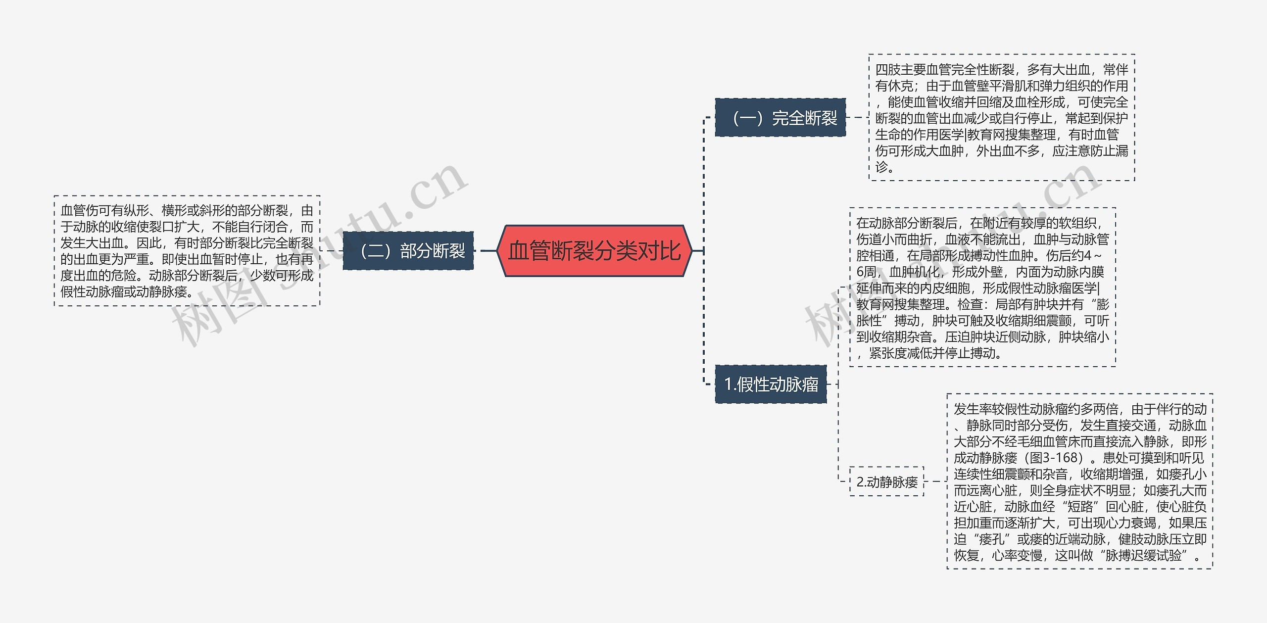 血管断裂分类对比 血管断裂分类对比