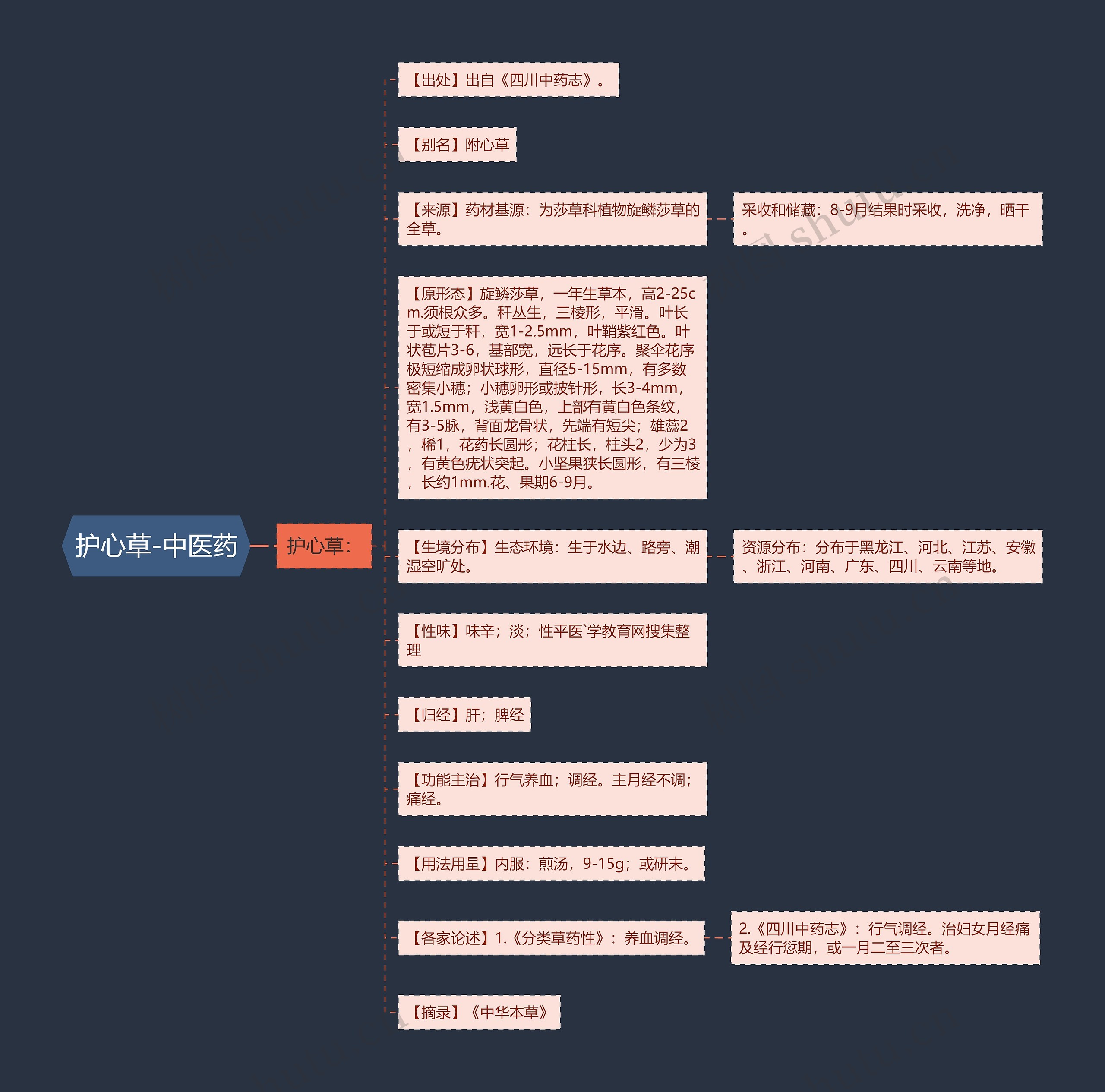 护心草-中医药 护心草-中医药