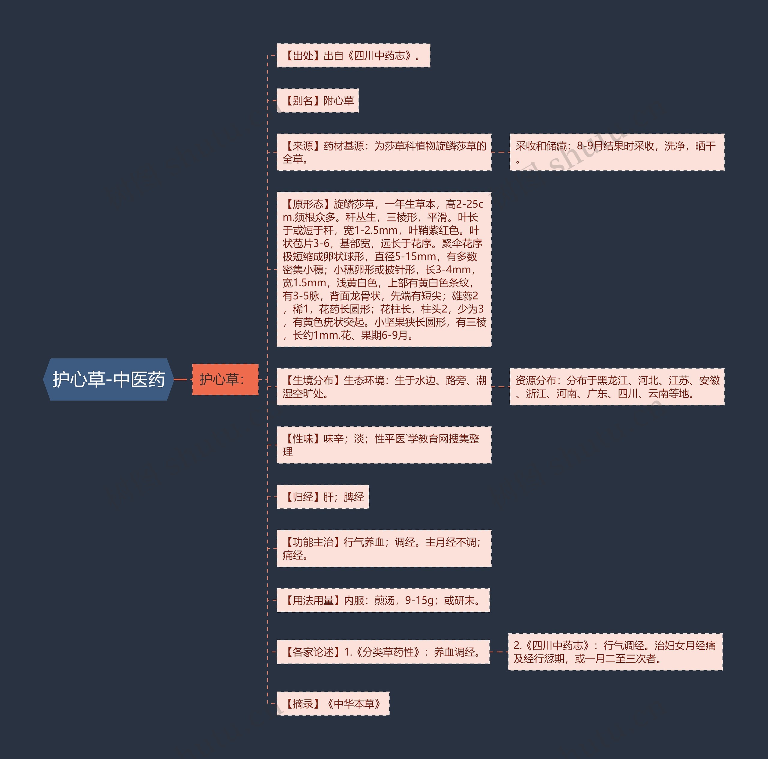 护心草-中医药思维导图