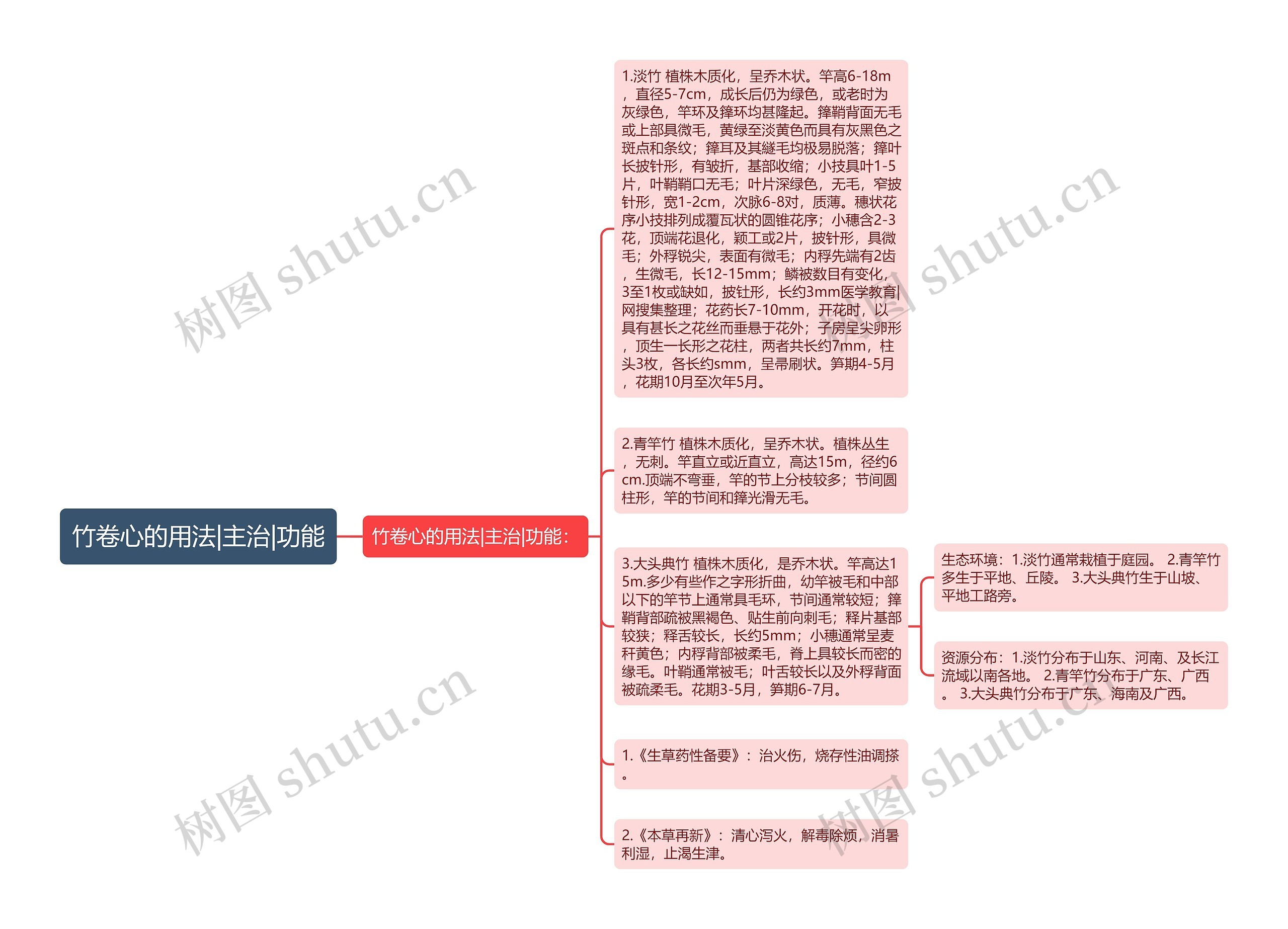 竹卷心的用法|主治|功能思维导图