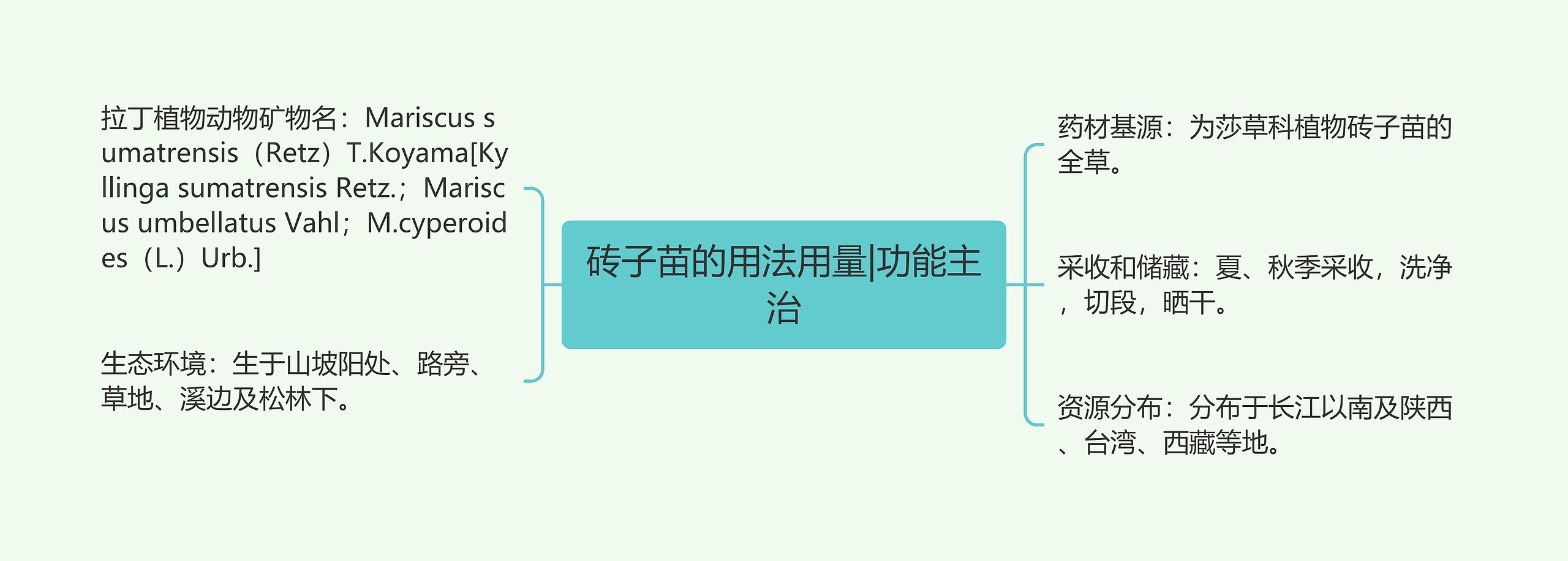 砖子苗的用法用量|功能主治思维导图