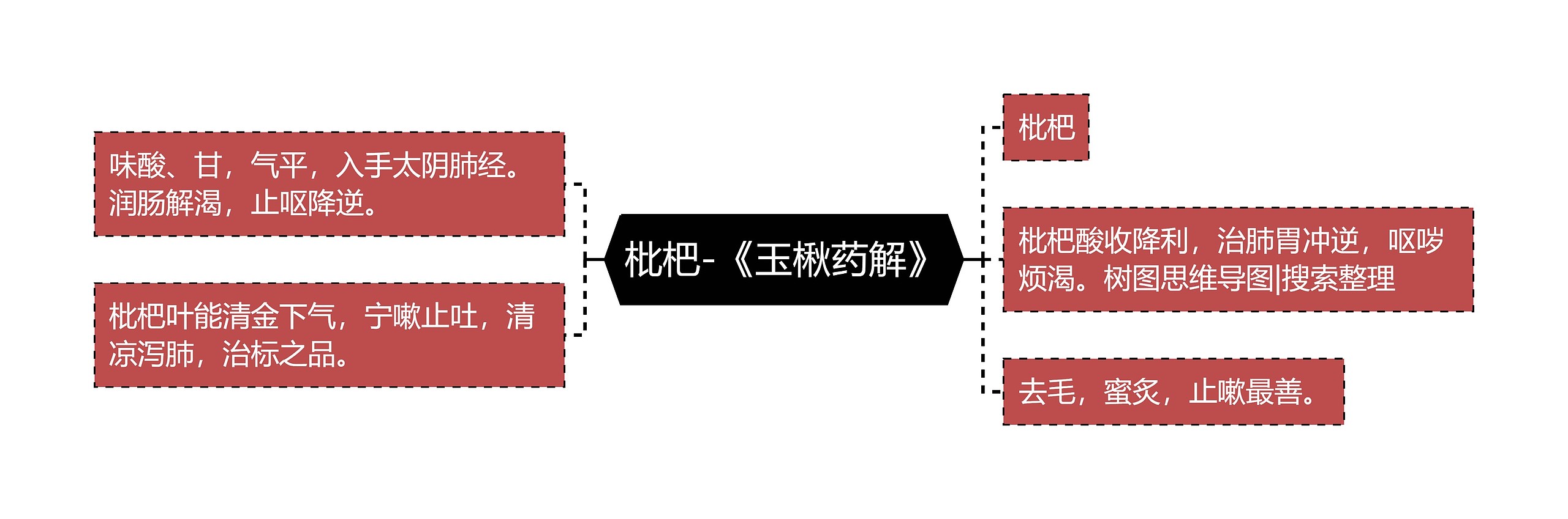 枇杷-《玉楸药解》思维导图