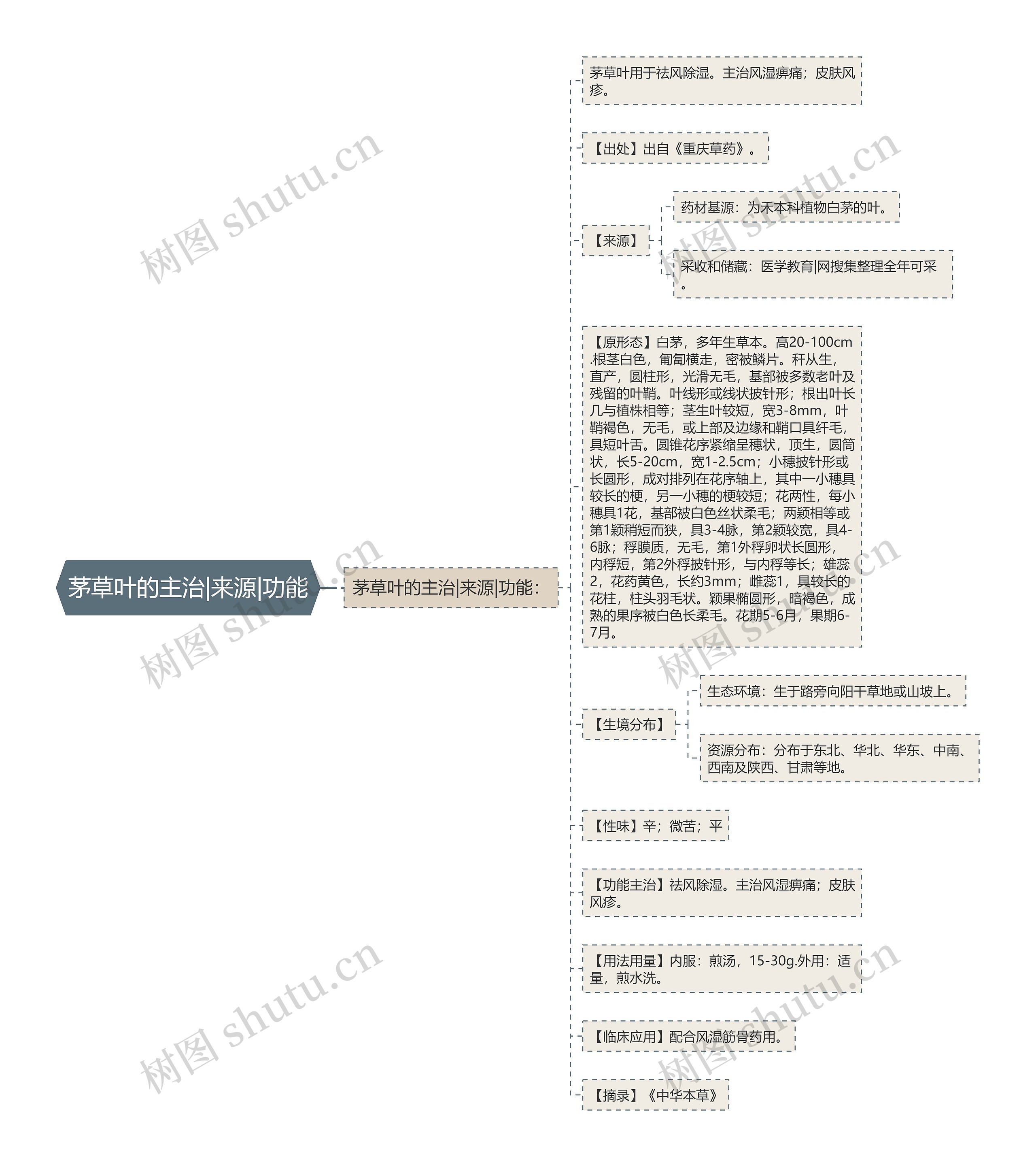 茅草叶的主治|来源|功能思维导图