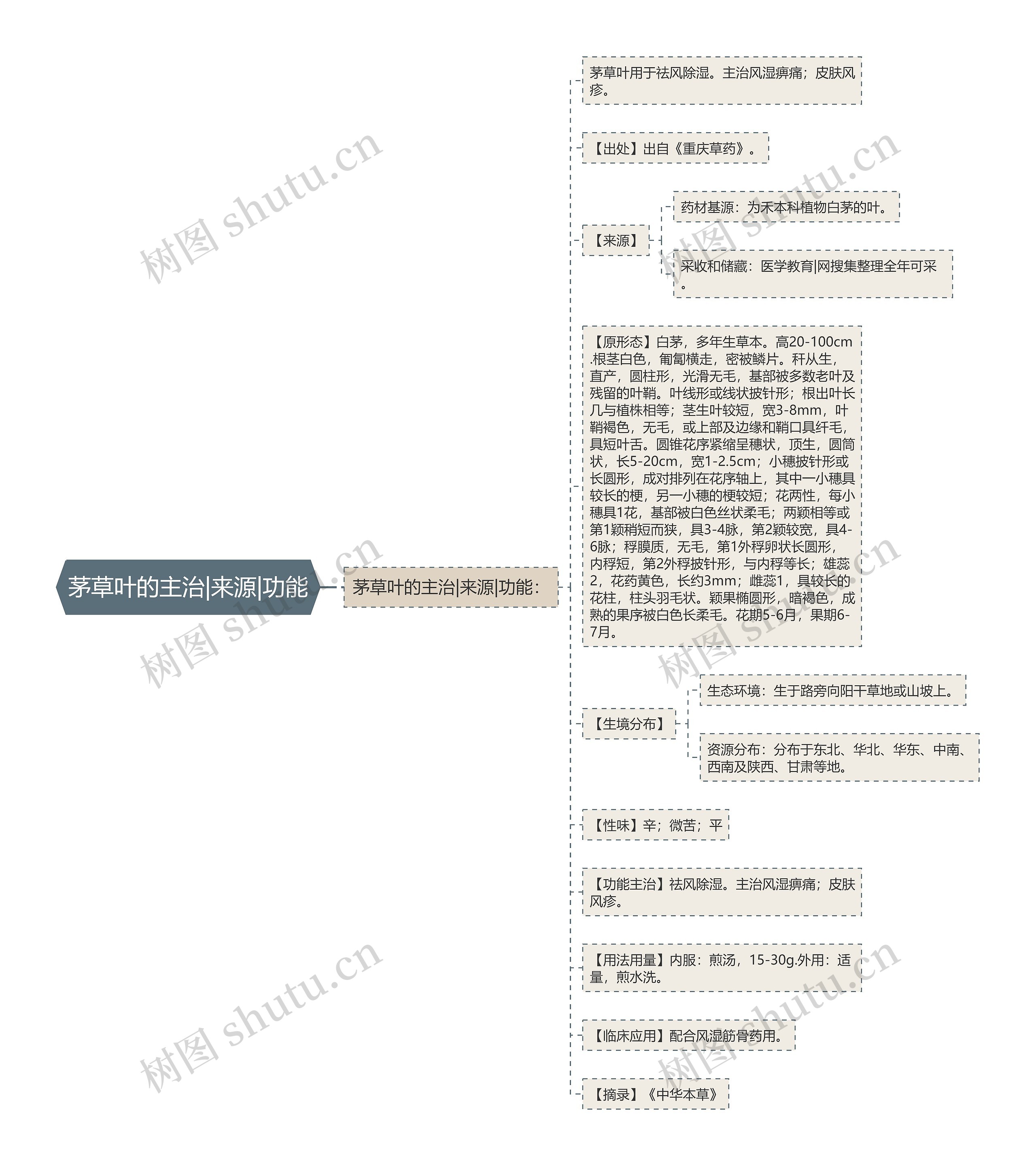 茅草叶的主治|来源|功能 茅草叶的主治|来源|功能