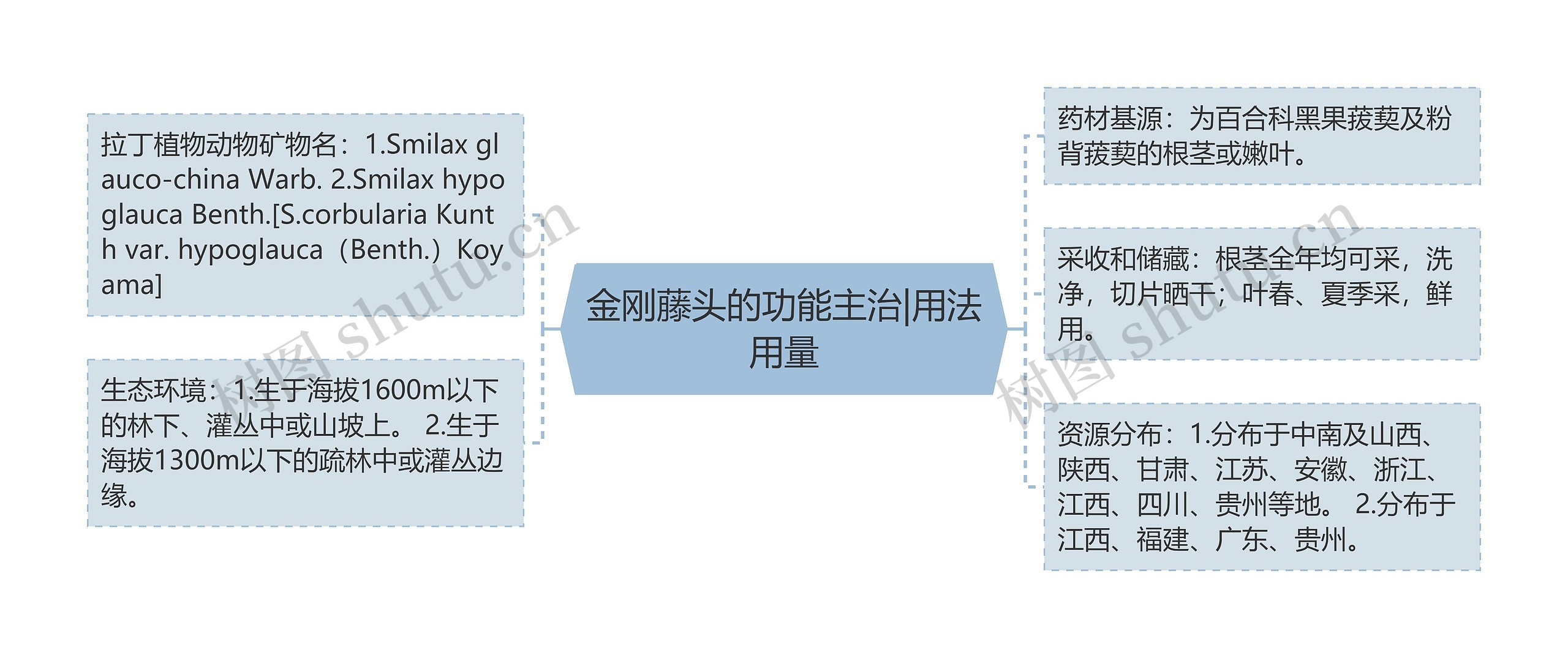 金刚藤头的功能主治|用法用量思维导图