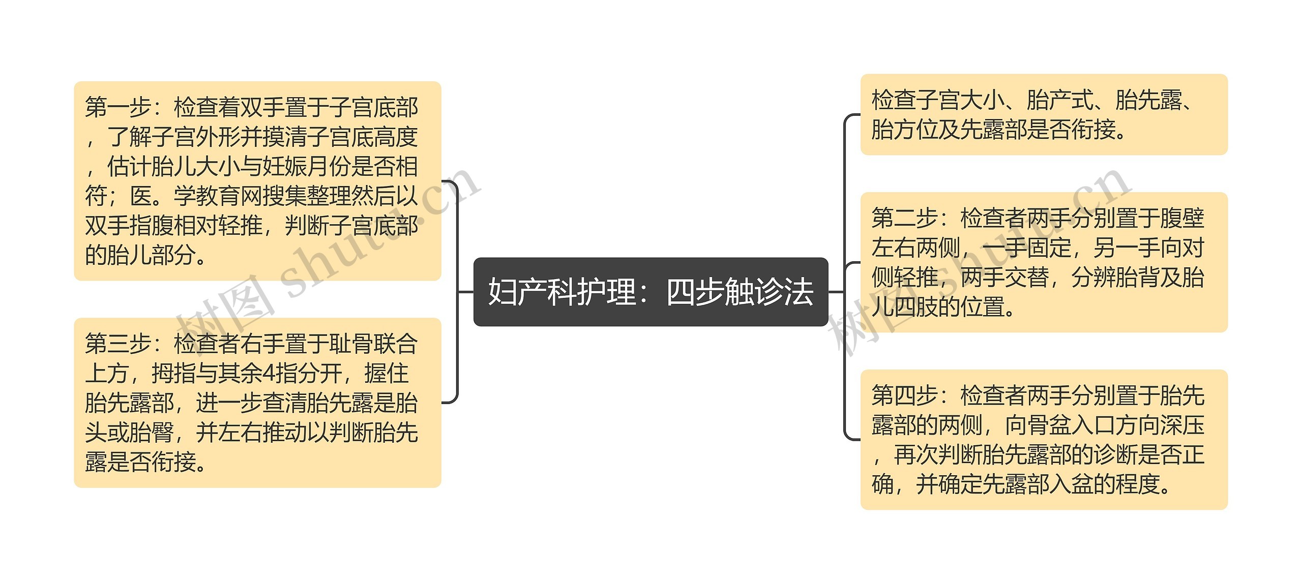 妇产科护理：四步触诊法