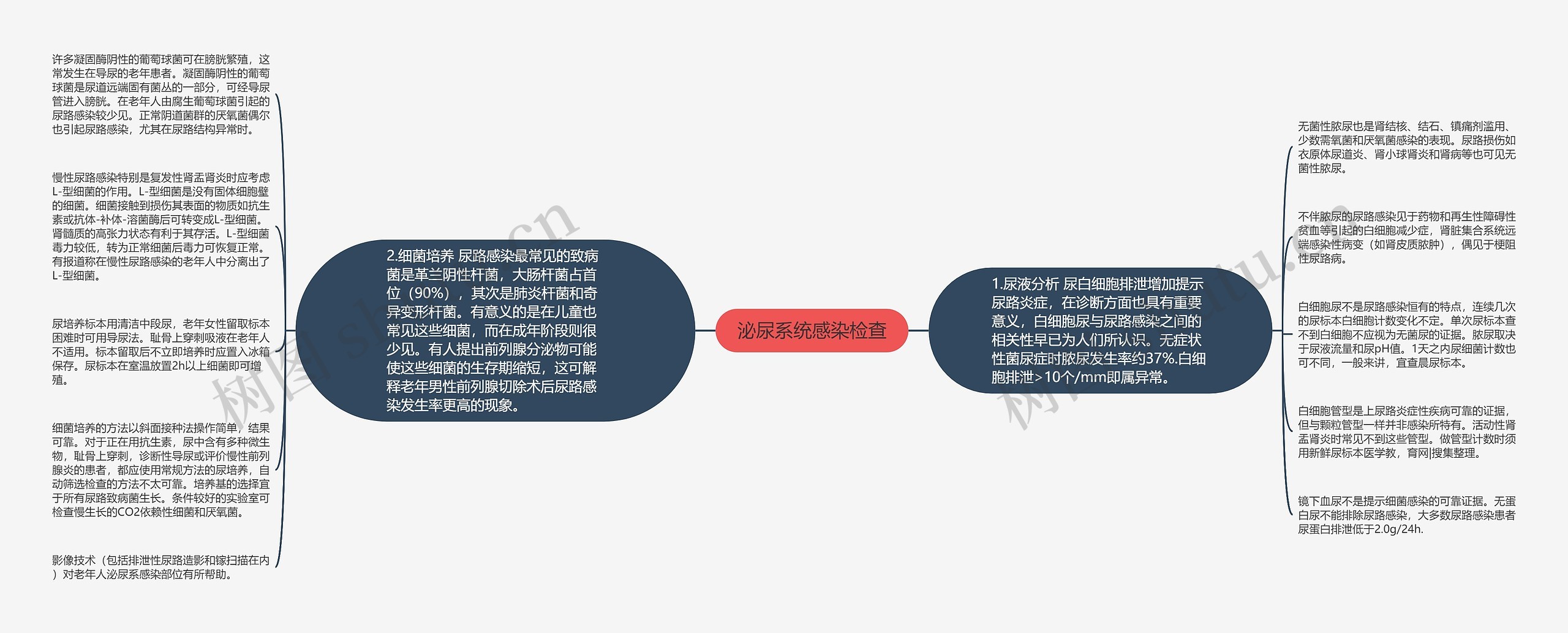 泌尿系统感染检查思维导图