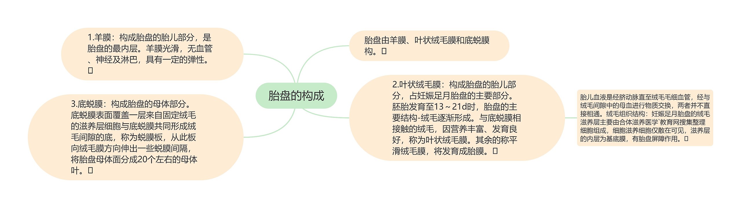 胎盘的构成 胎盘的构成