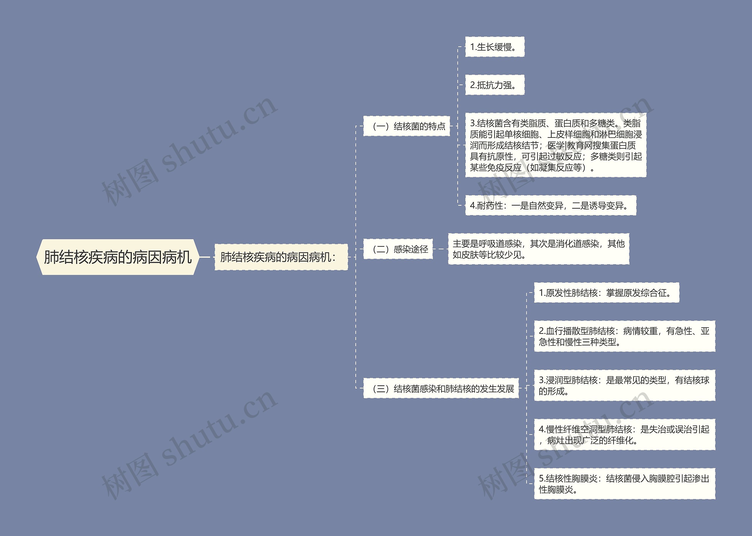 肺结核疾病的病因病机思维导图