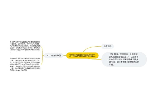 牙周组织的防御机制二