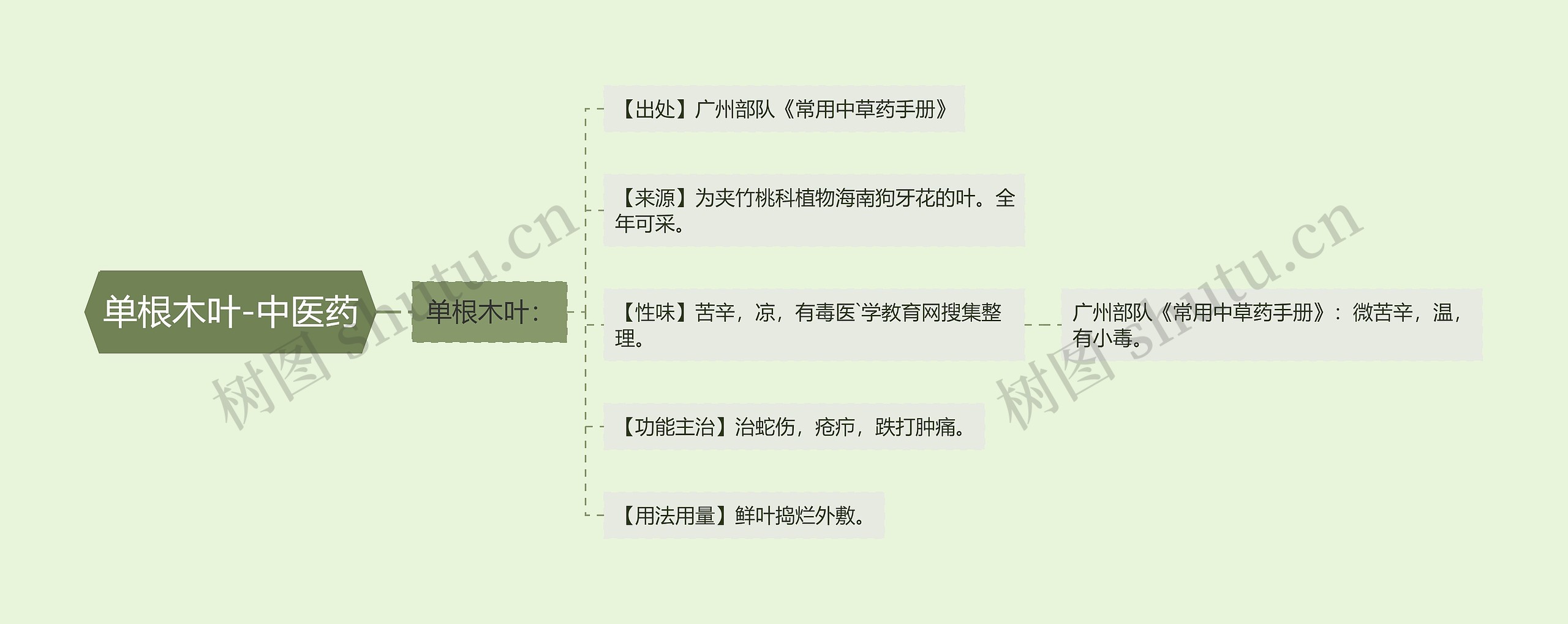 单根木叶-中医药