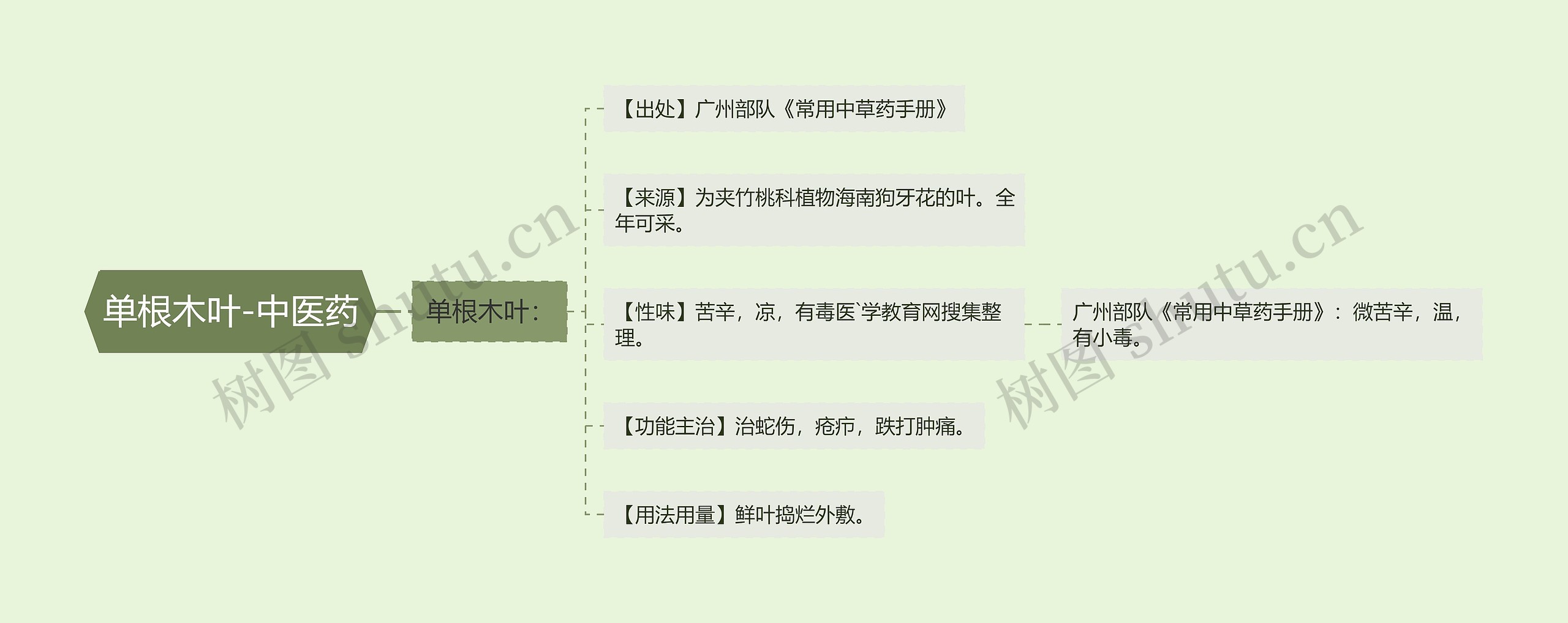 单根木叶-中医药 单根木叶-中医药