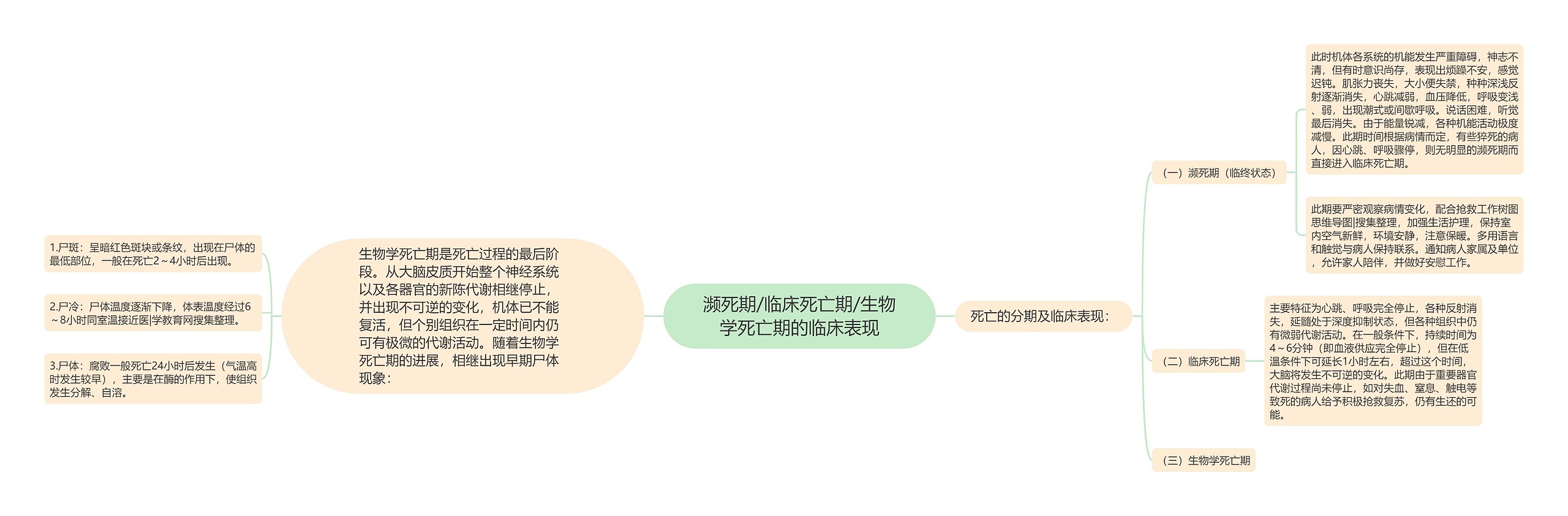 濒死期/临床死亡期/生物学死亡期的临床表现 濒死期/临床死亡期/生物学死亡期的临床表现