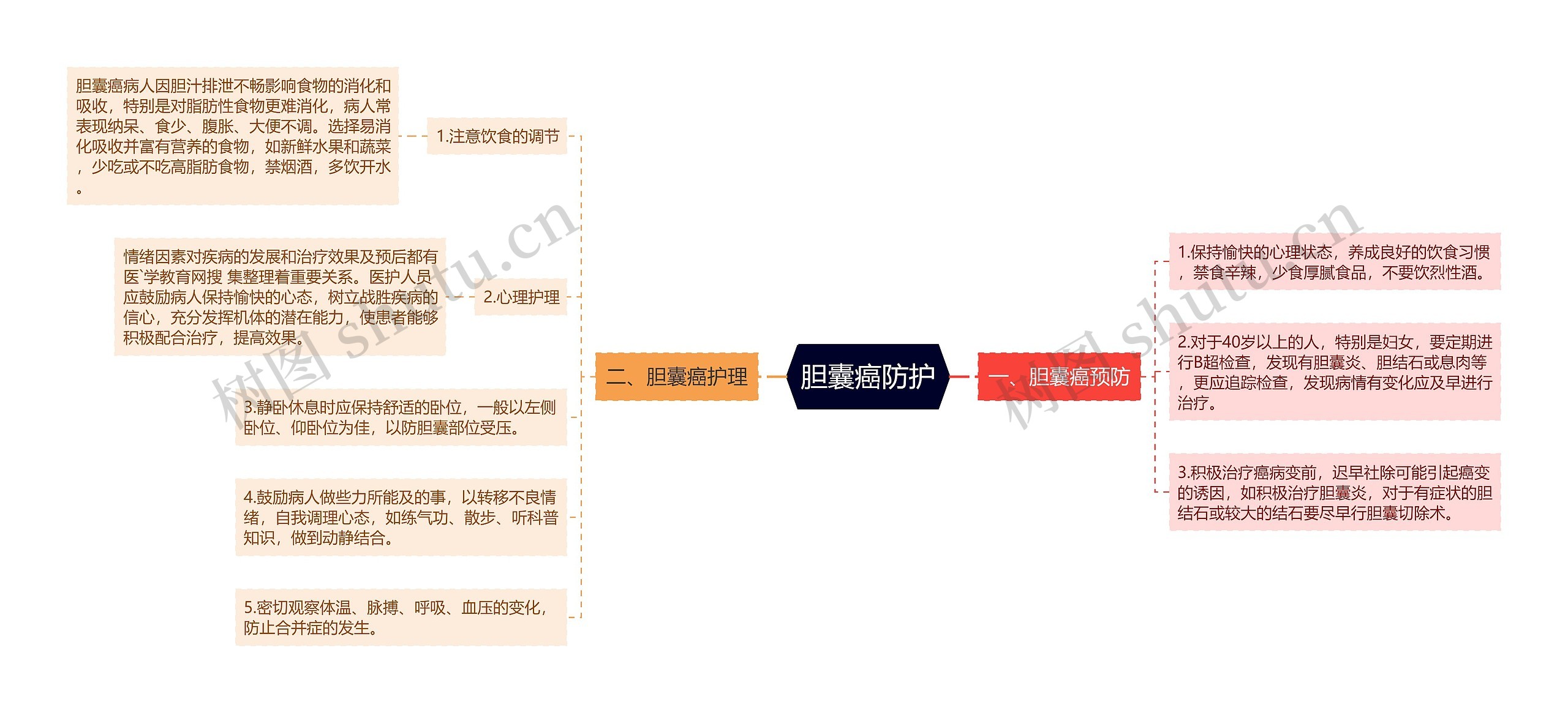 胆囊癌防护思维导图