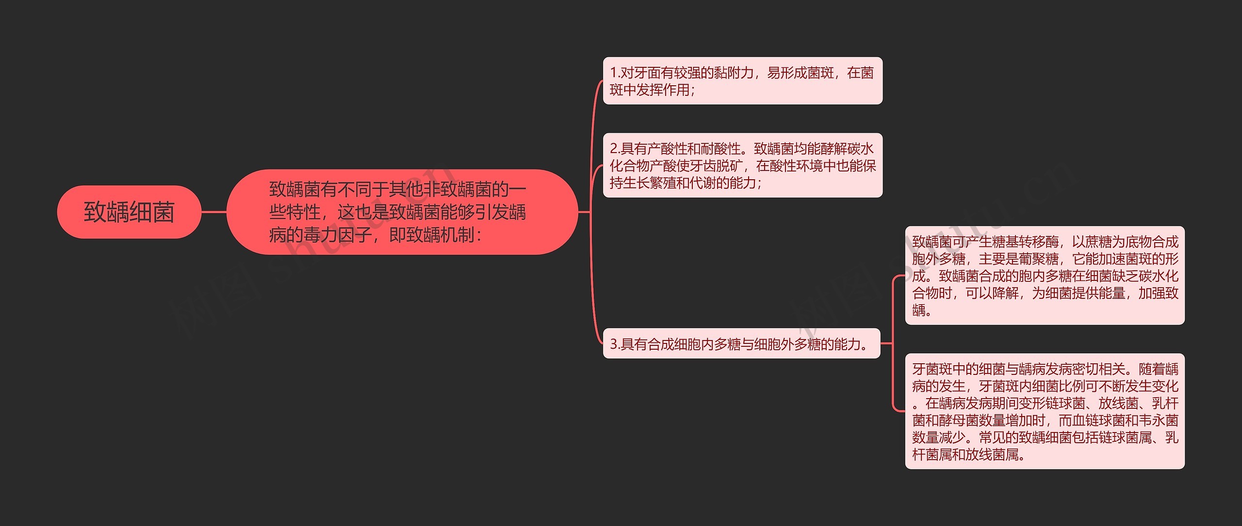 致龋细菌 致龋细菌