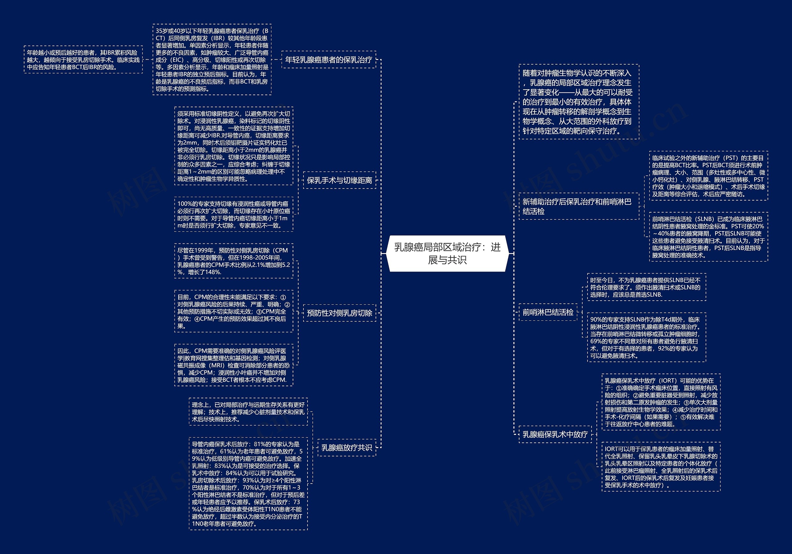 乳腺癌局部区域治疗：进展与共识思维导图