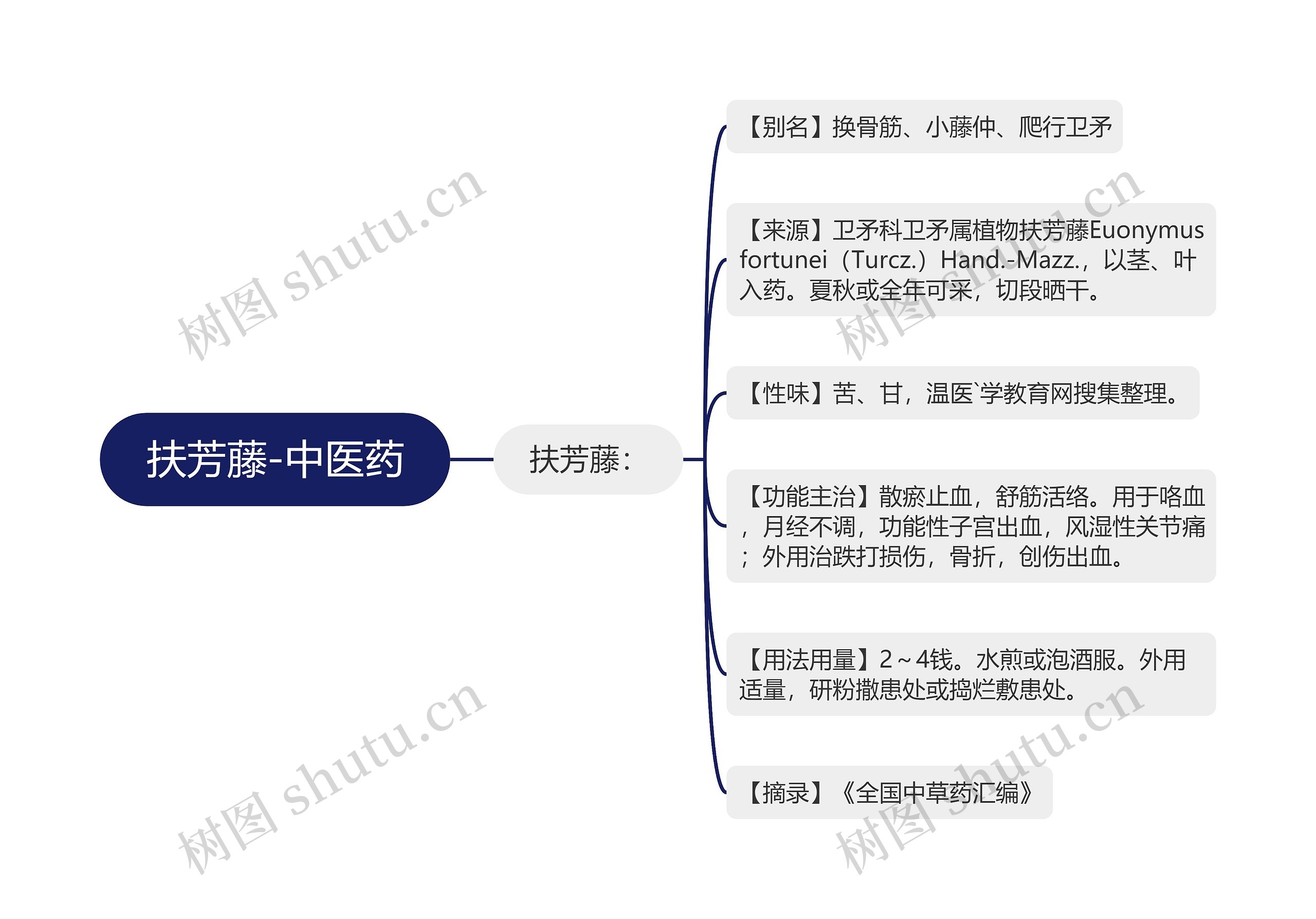 扶芳藤-中医药 扶芳藤-中医药