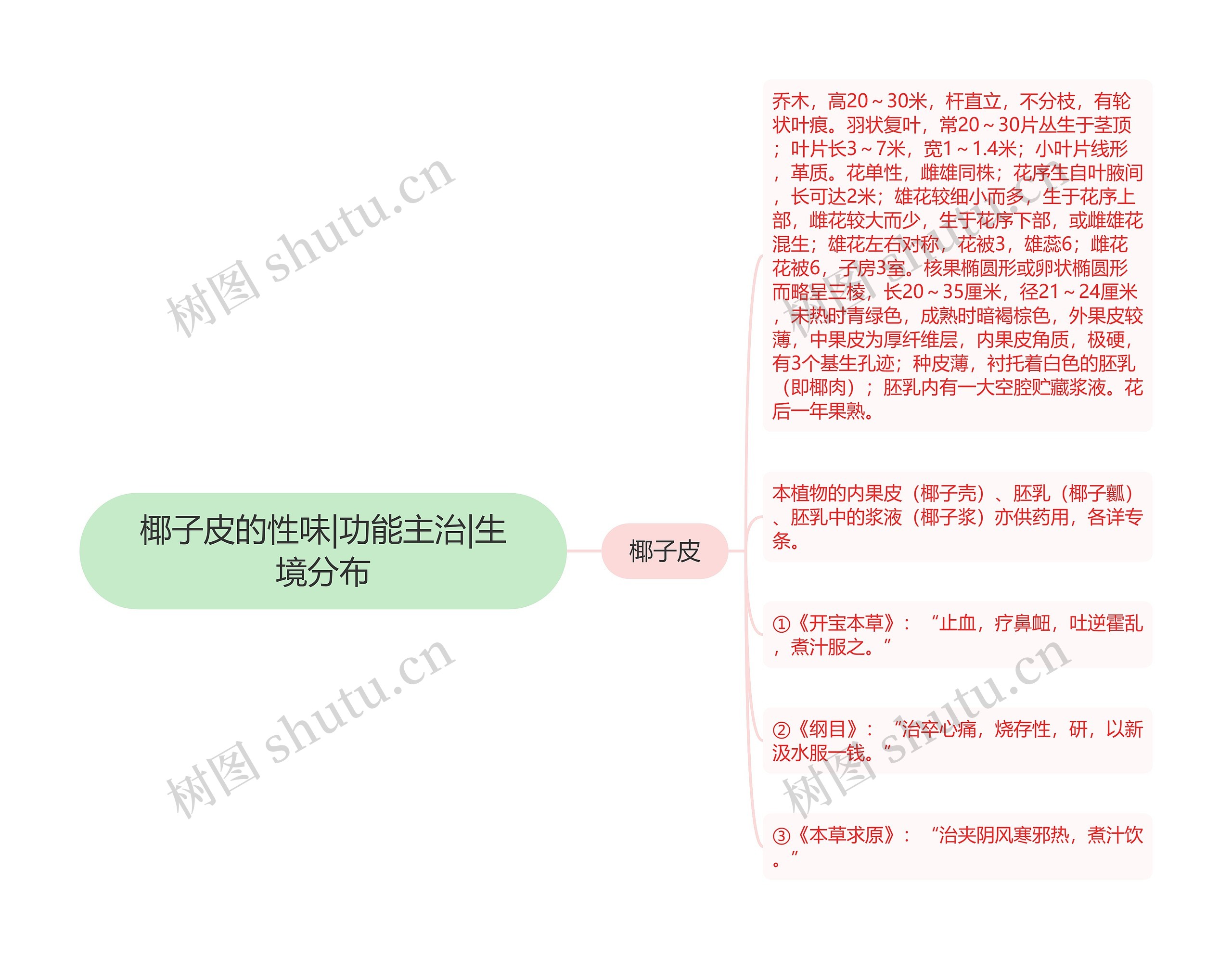 椰子皮的性味|功能主治|生境分布 椰子皮的性味|功能主治|生境分布