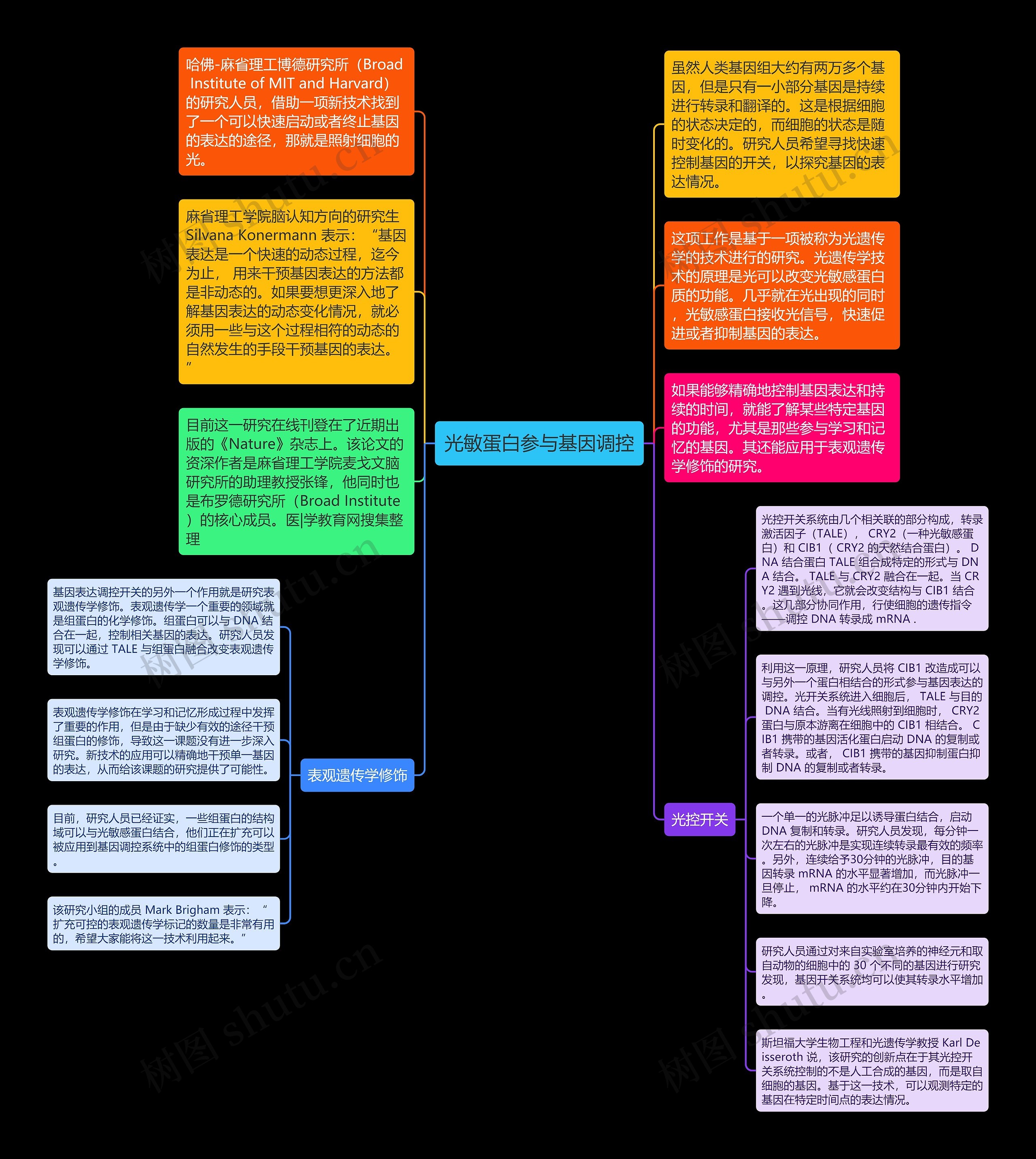 光敏蛋白参与基因调控思维导图