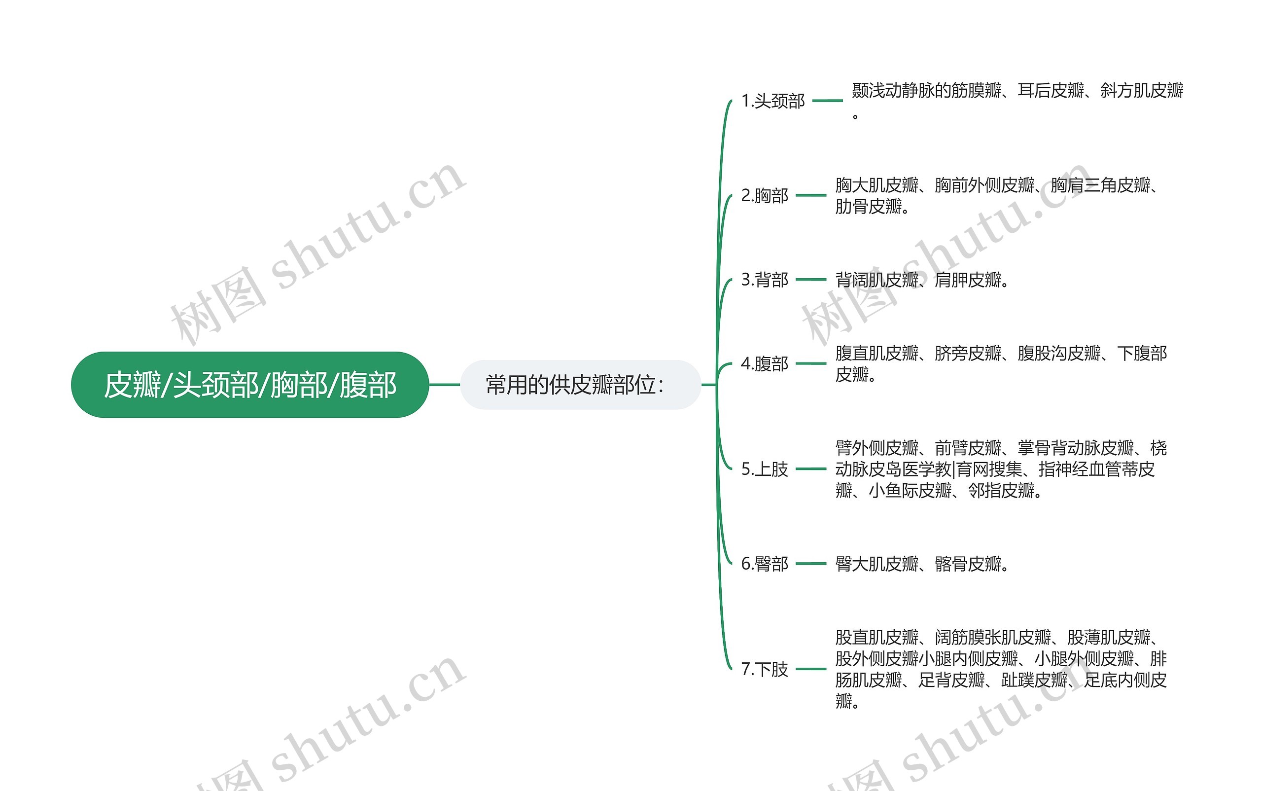 皮瓣/头颈部/胸部/腹部