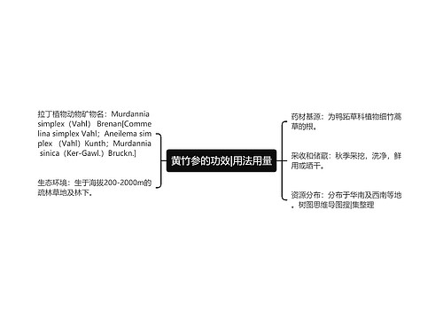 黄竹参的功效|用法用量