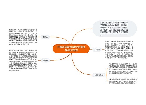 肛管直肠脱垂病因/病理检查/临床表现