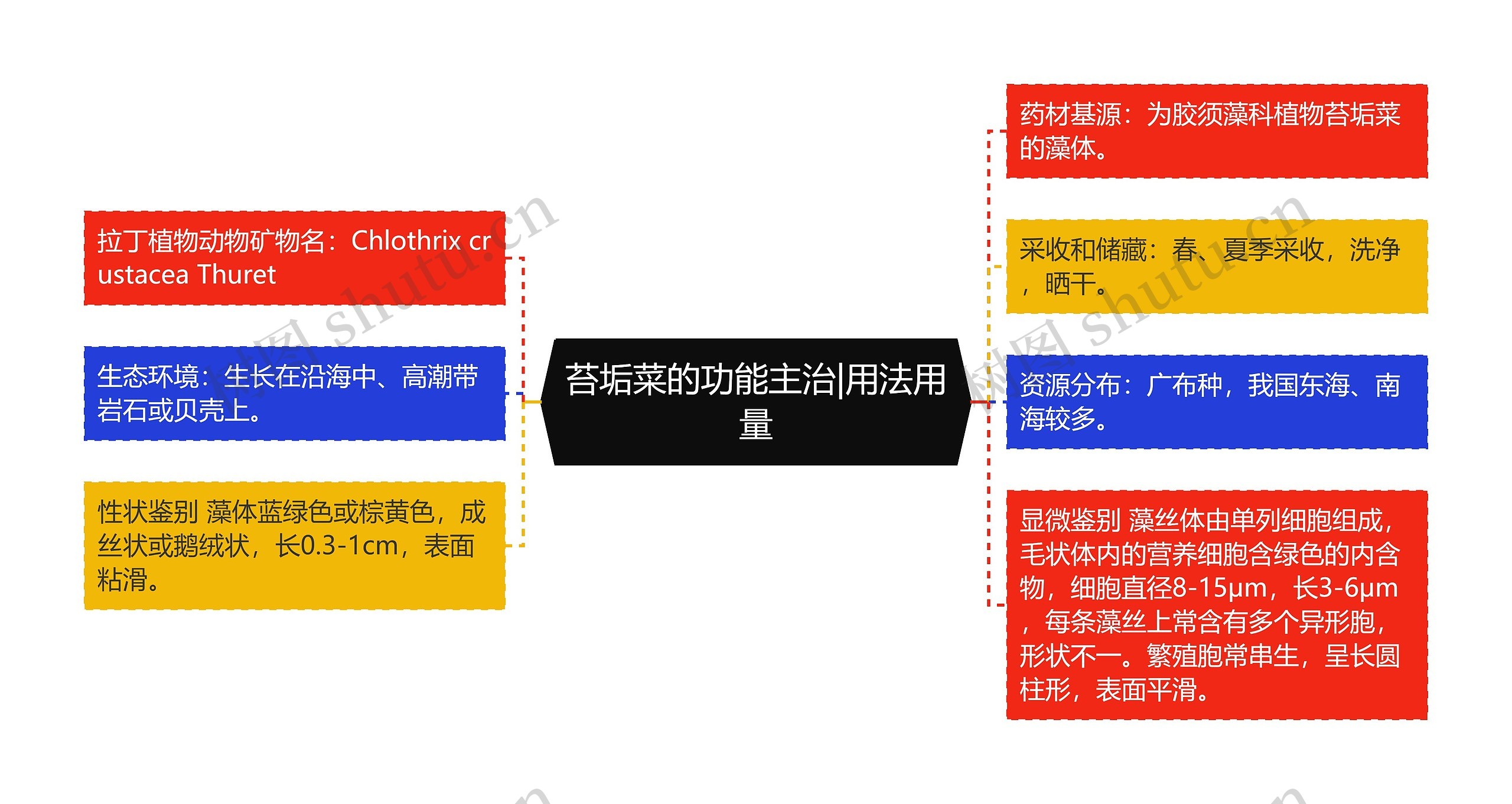 苔垢菜的功能主治|用法用量 苔垢菜的功能主治|用法用量