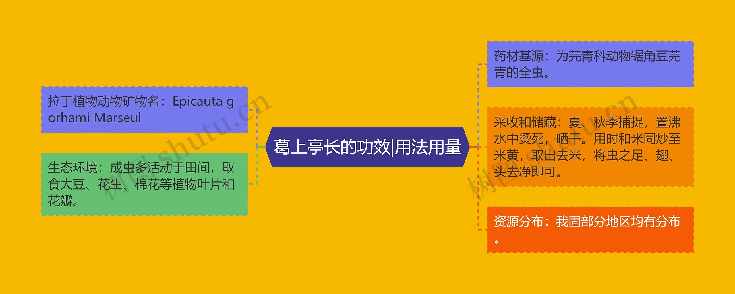 葛上亭长的功效|用法用量 葛上亭长的功效|用法用量