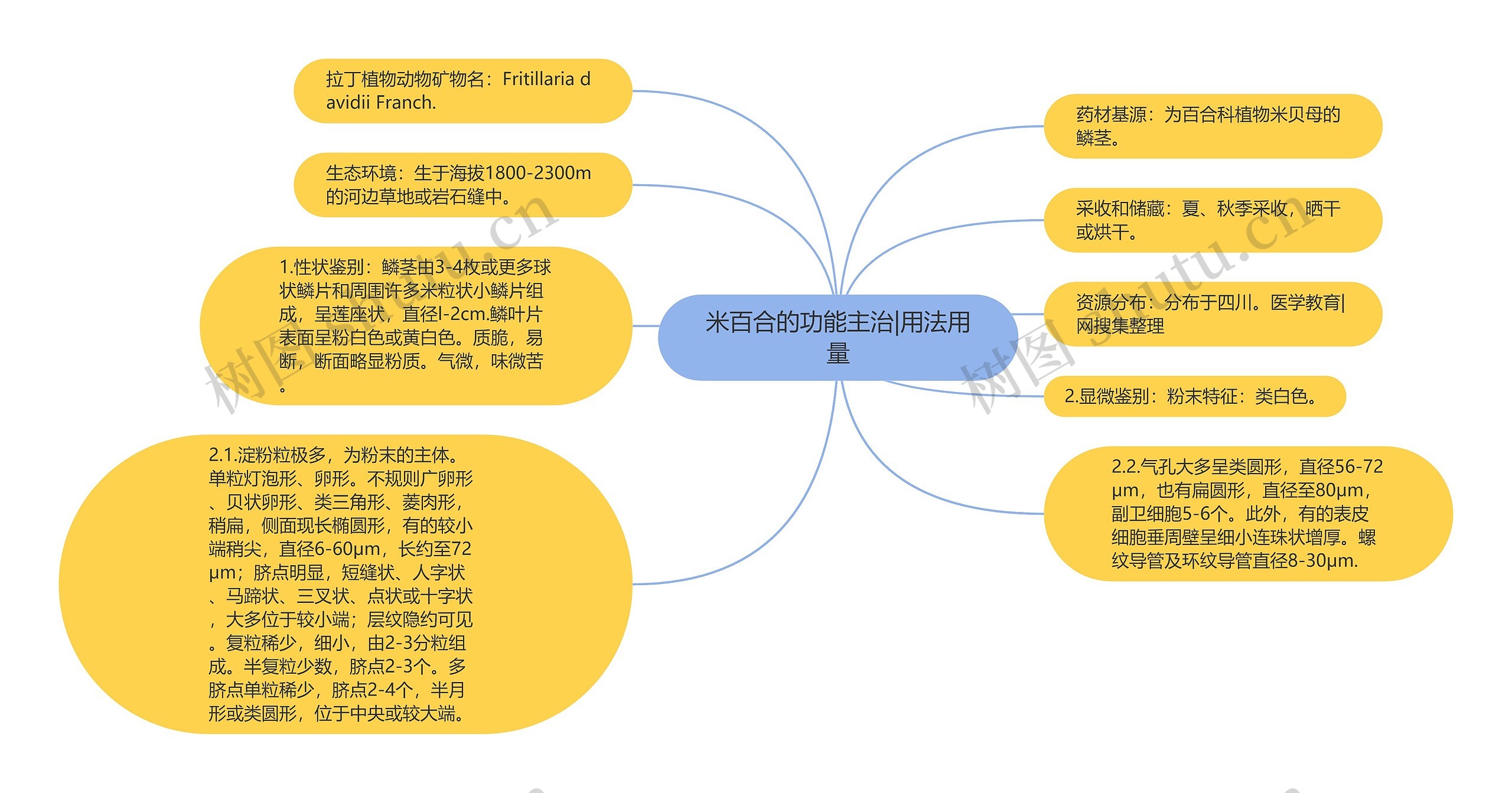 米百合的功能主治|用法用量思维导图