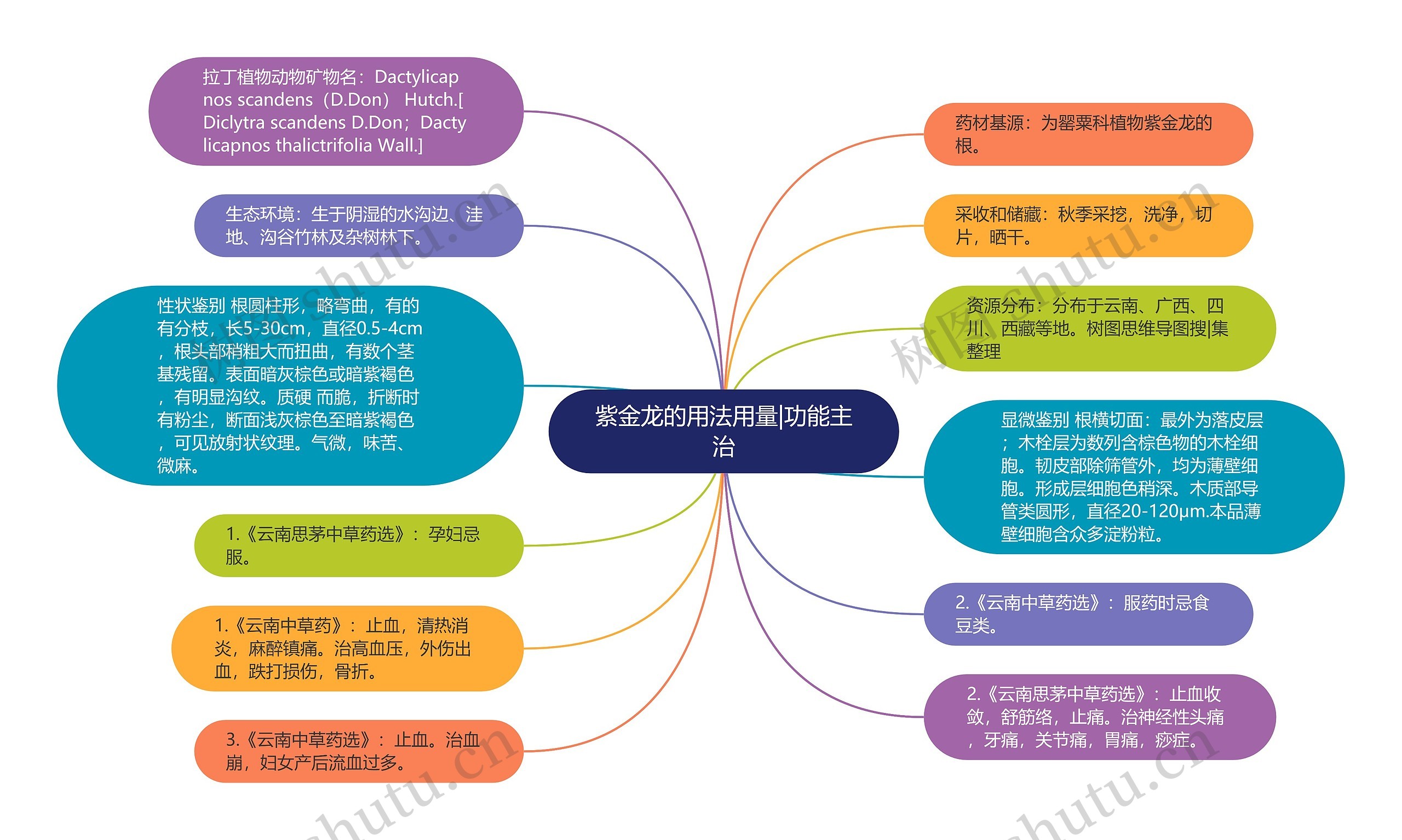 紫金龙的用法用量|功能主治