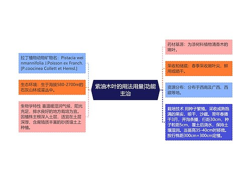 紫油木叶的用法用量|功能主治