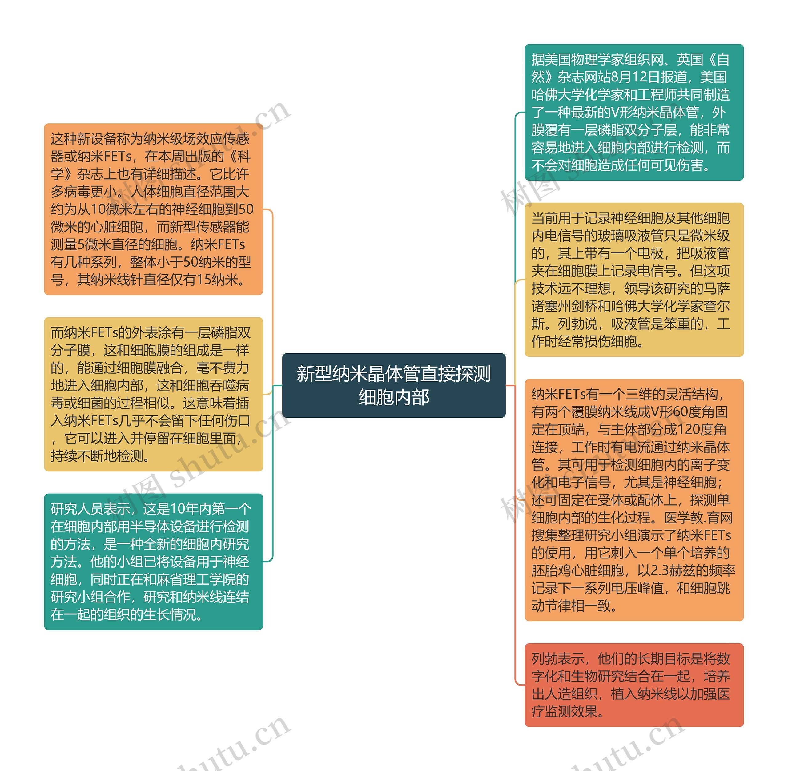 新型纳米晶体管直接探测细胞内部思维导图