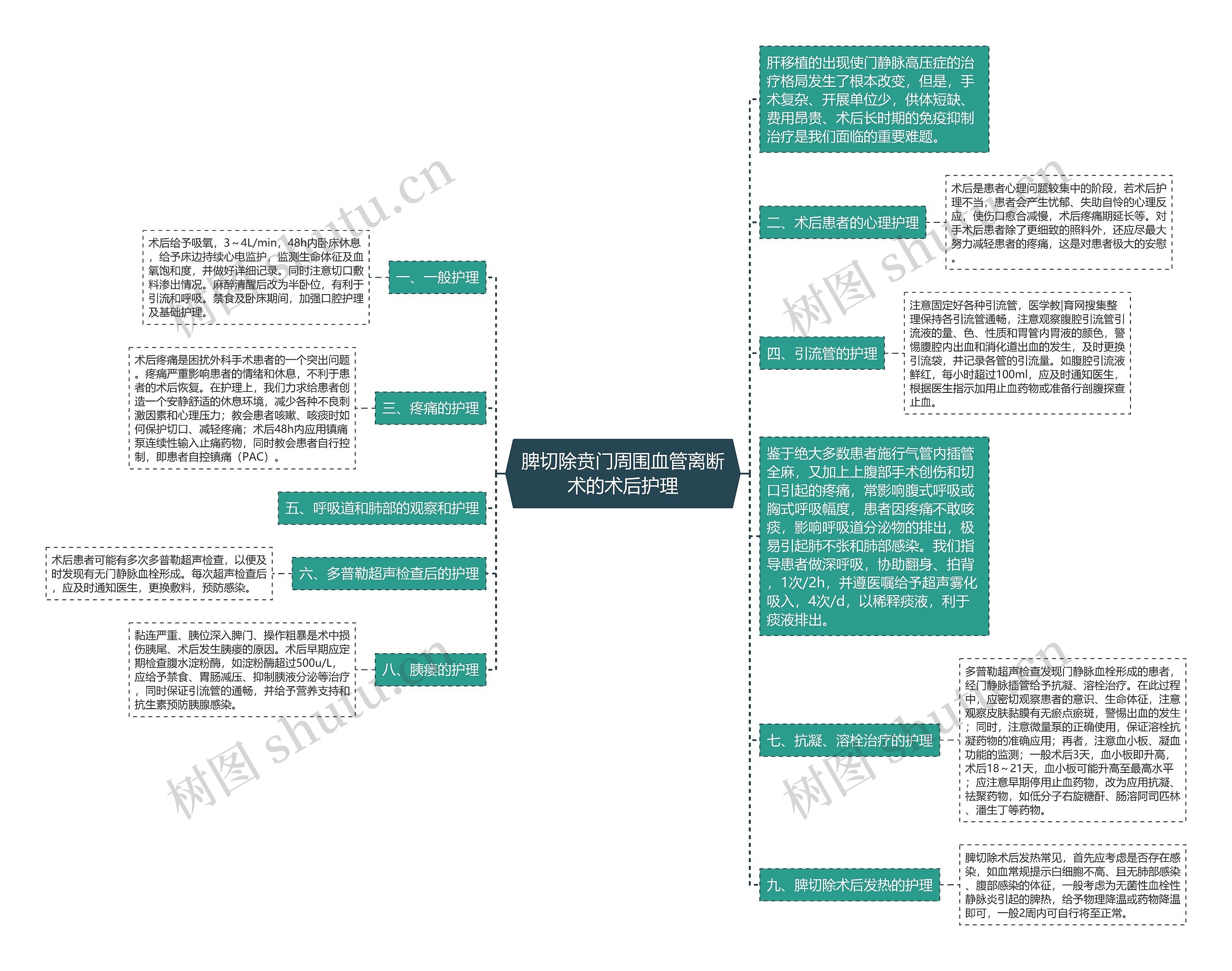 脾切除贲门周围血管离断术的术后护理思维导图