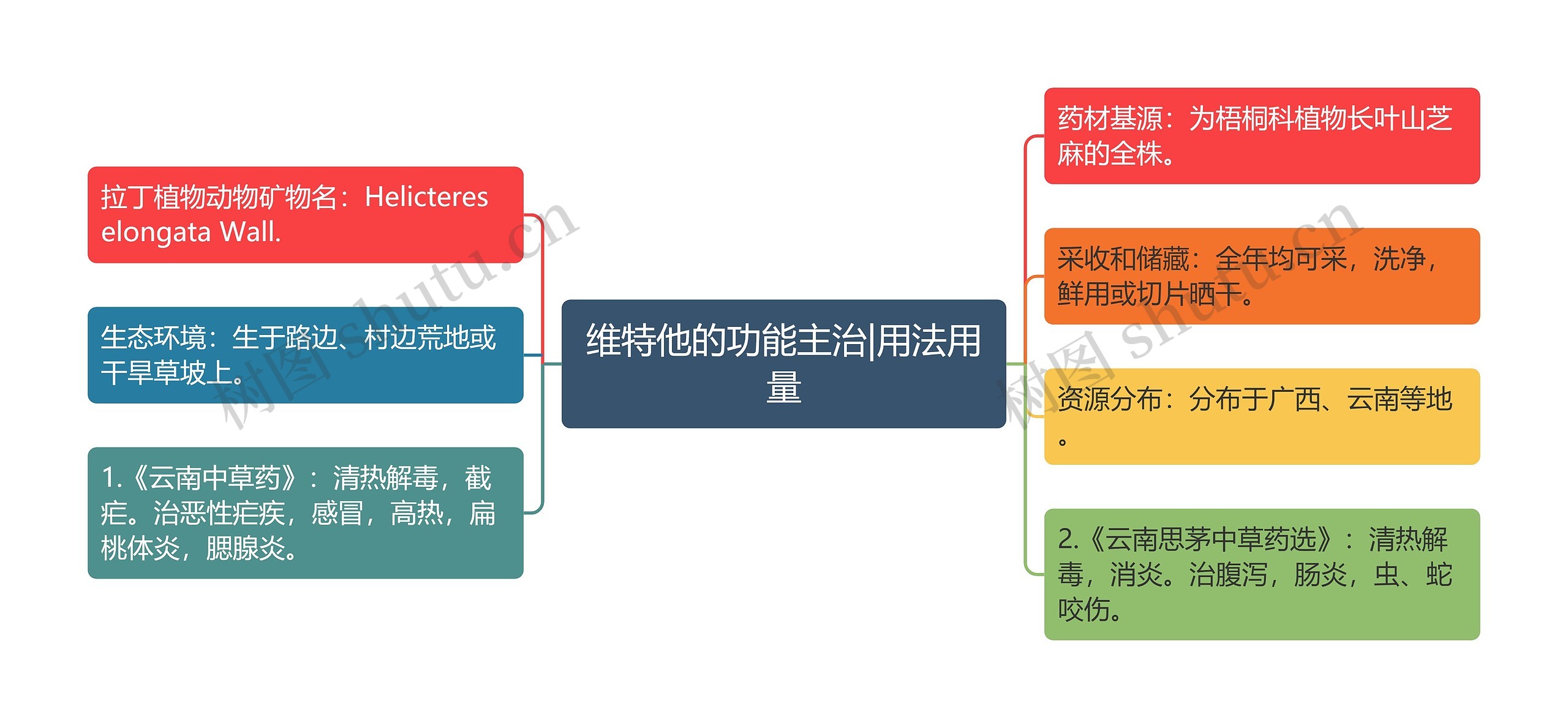 维特他的功能主治|用法用量