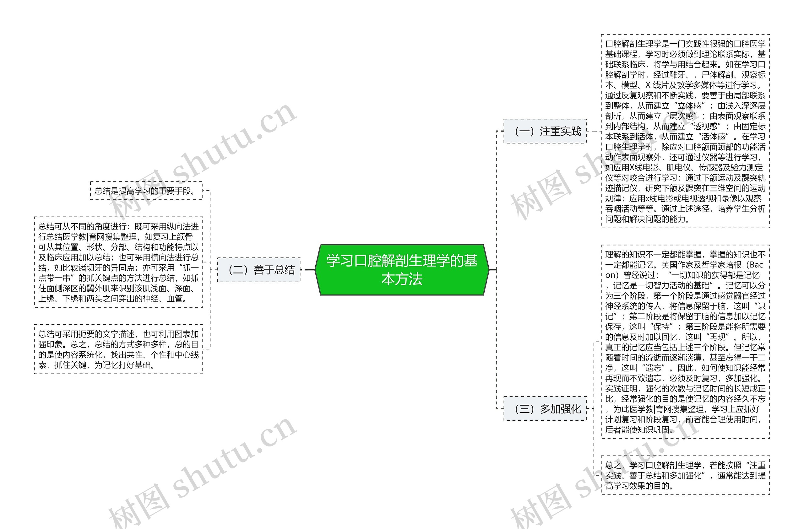 学习口腔解剖生理学的基本方法思维导图