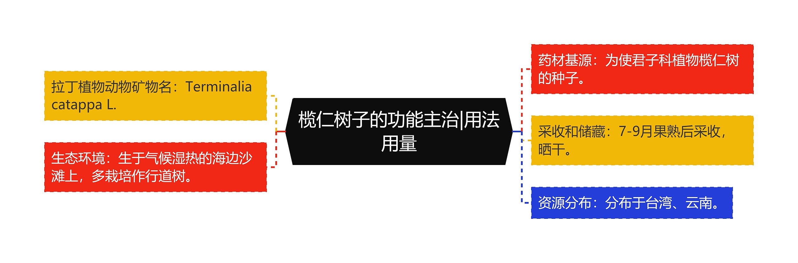 榄仁树子的功能主治|用法用量 榄仁树子的功能主治|用法用量
