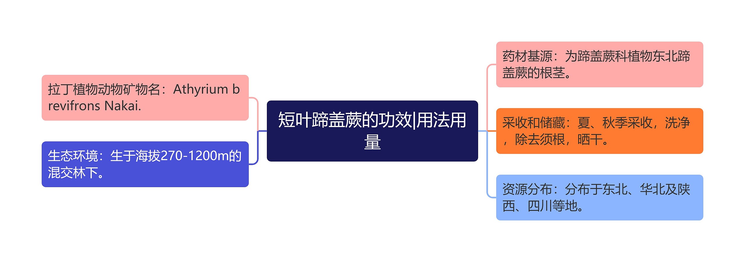 短叶蹄盖蕨的功效|用法用量 短叶蹄盖蕨的功效|用法用量