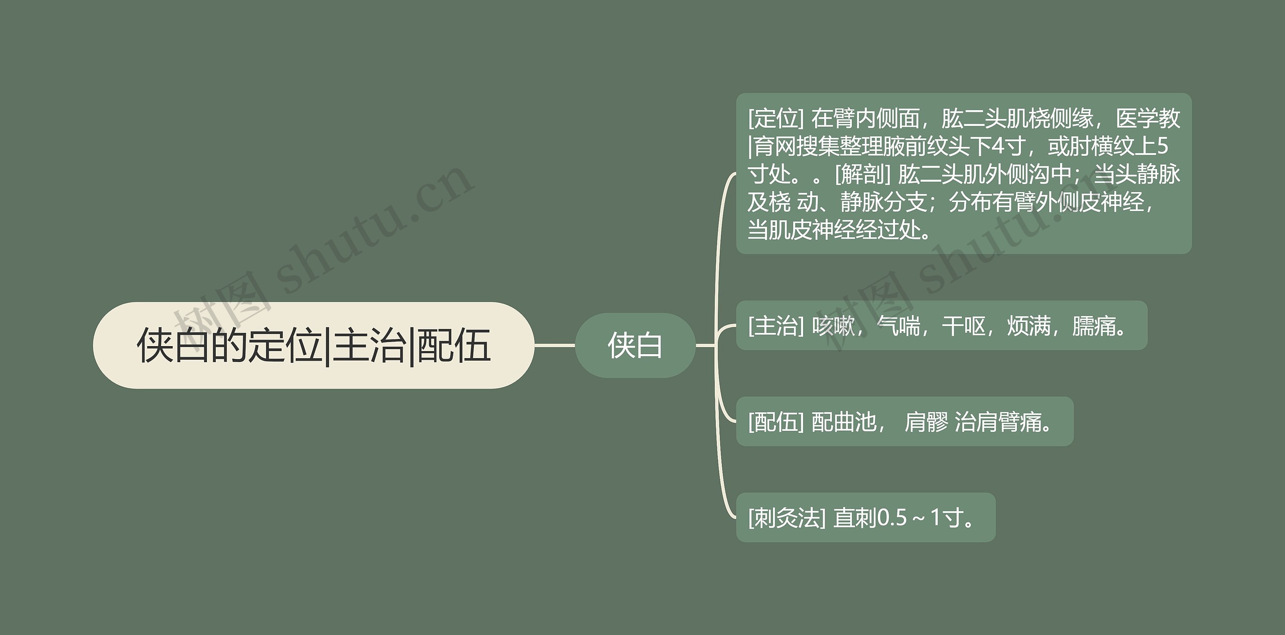 侠白的定位|主治|配伍思维导图