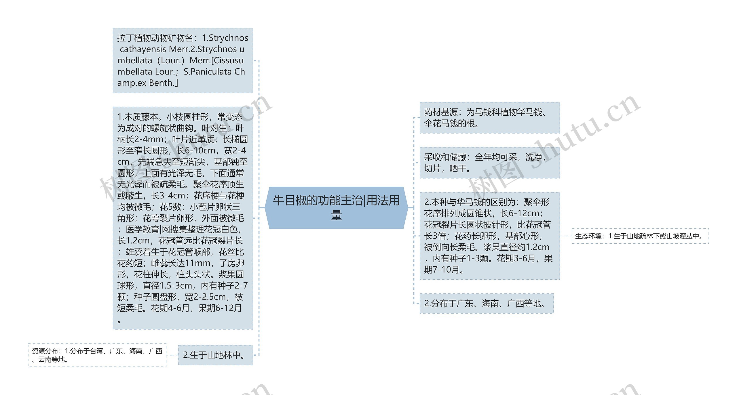 牛目椒的功能主治|用法用量思维导图