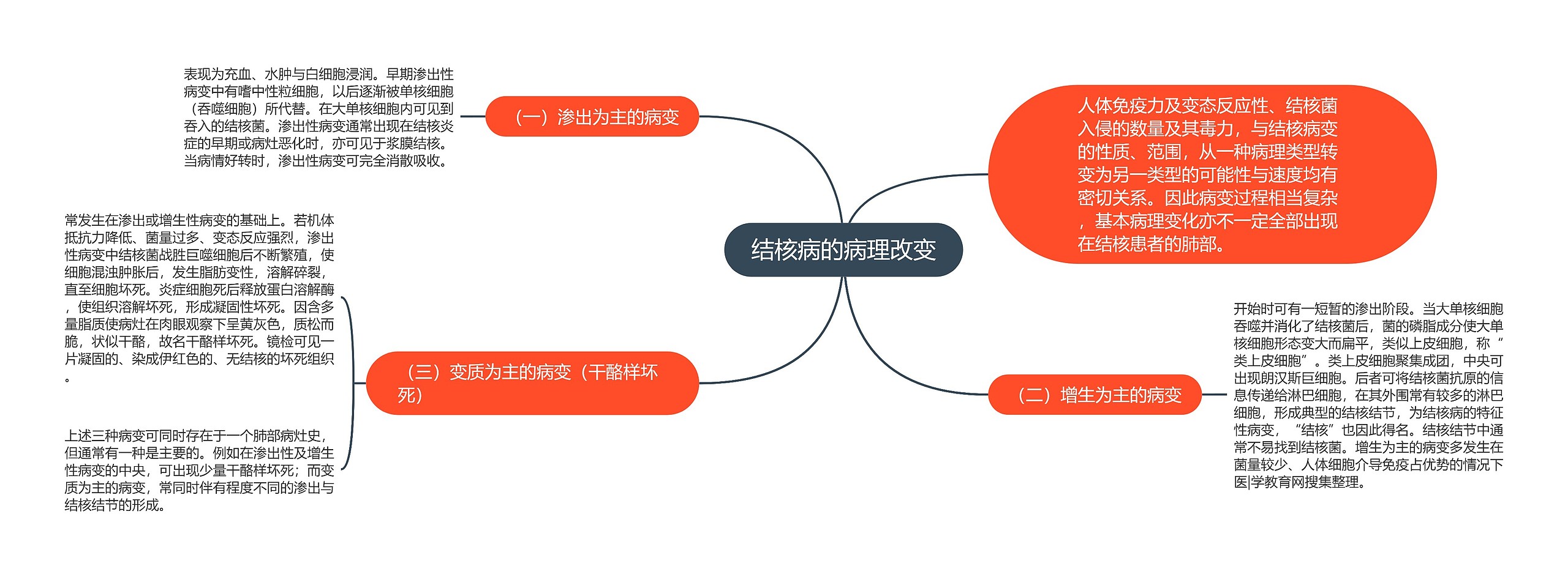 结核病的病理改变 结核病的病理改变