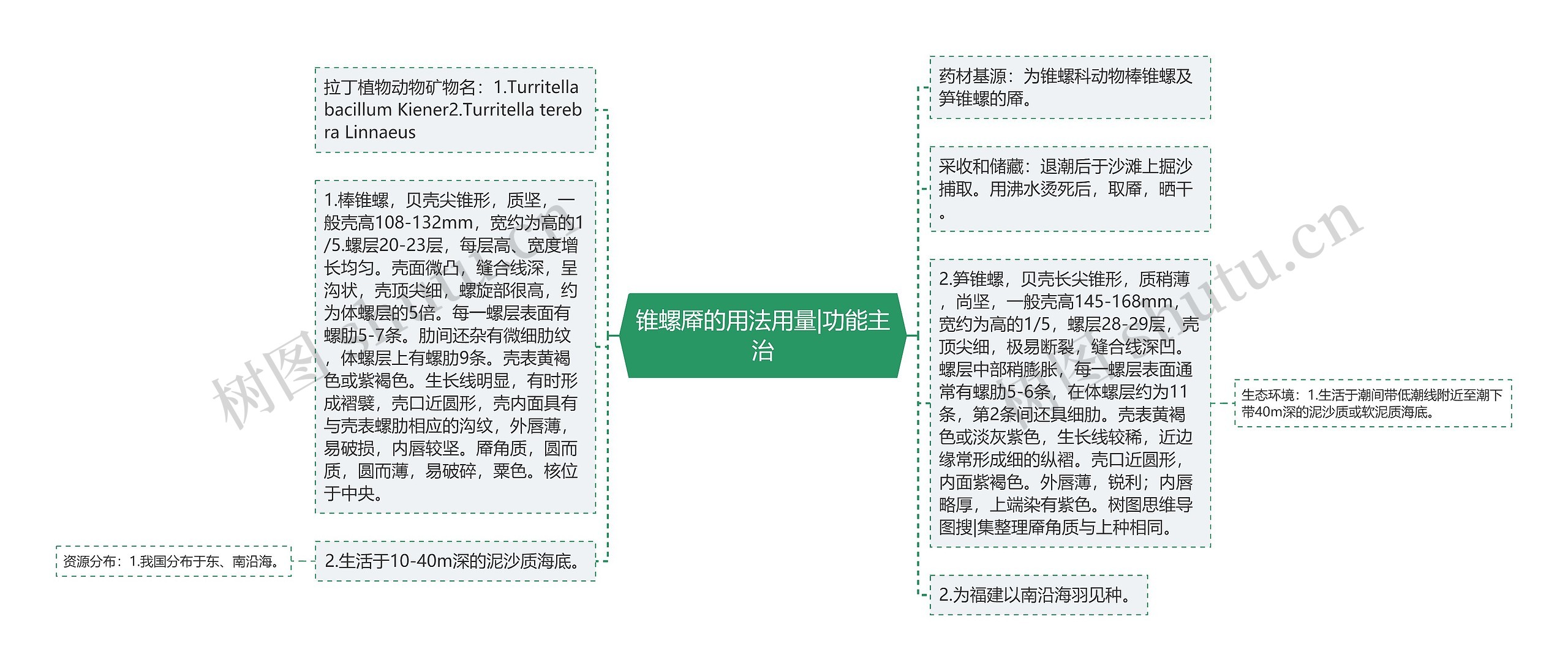 锥螺厣的用法用量|功能主治思维导图